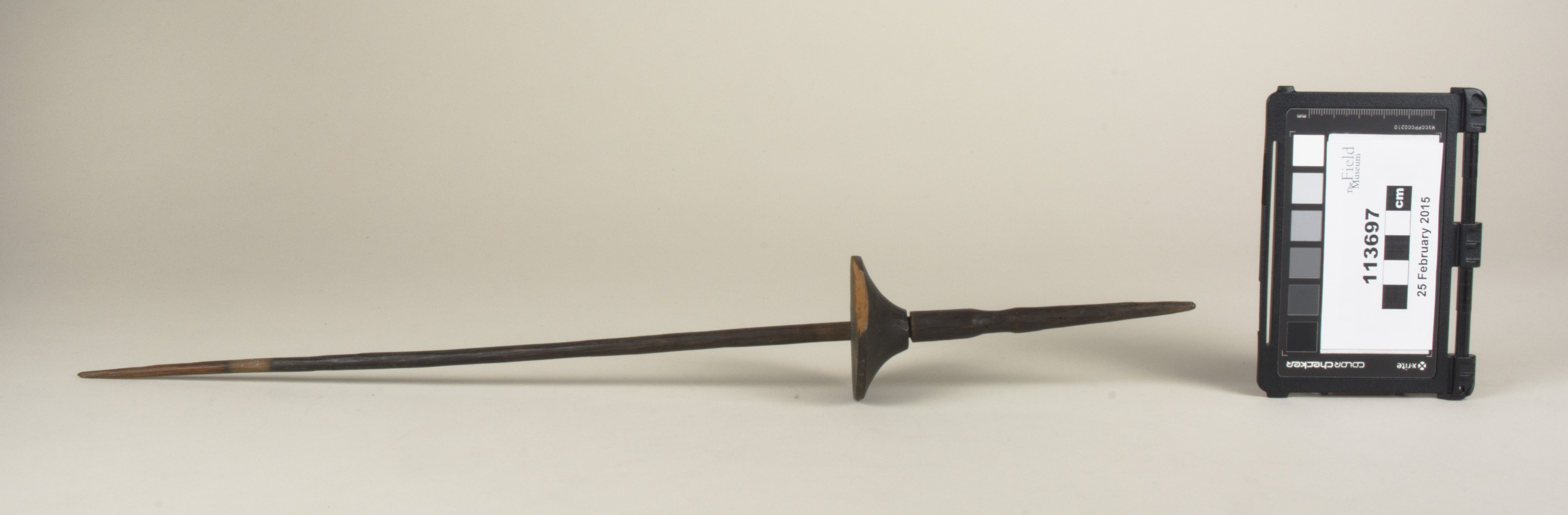 Side view (c) Field Museum of Natural History - CC BY-NC 4.0