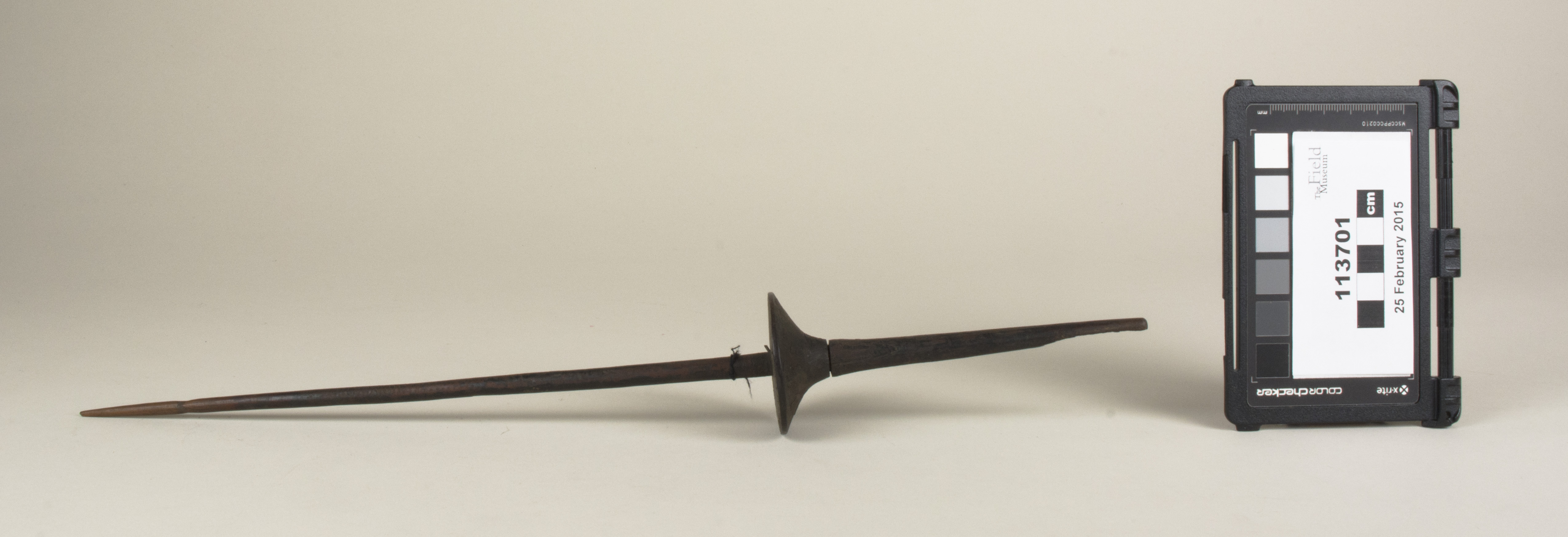 Side view (c) Field Museum of Natural History - CC BY-NC 4.0