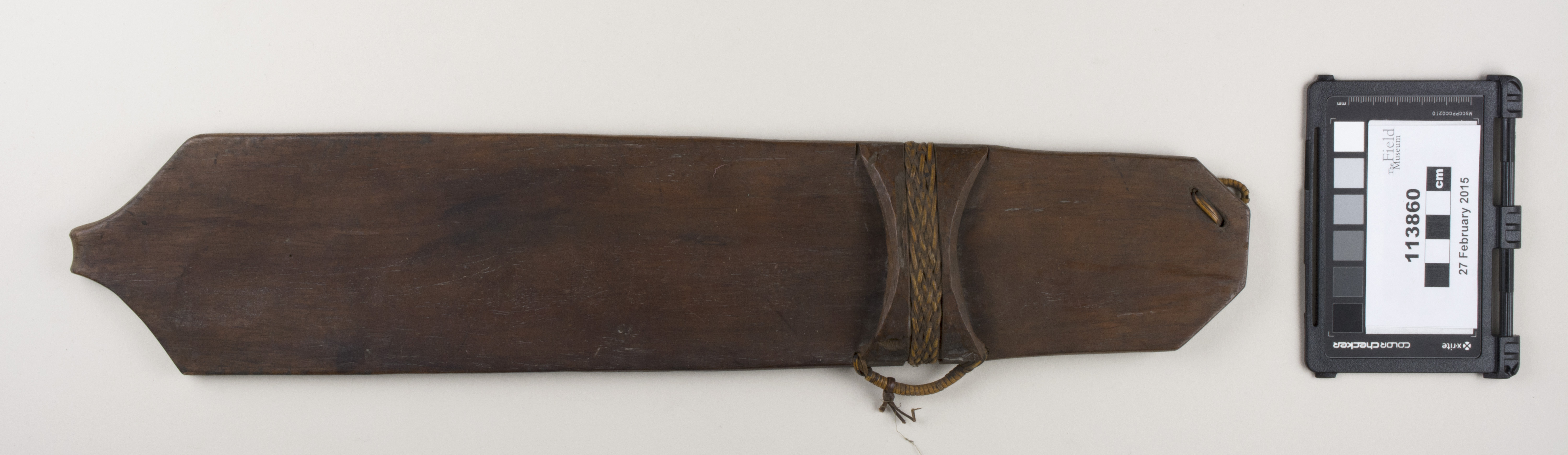 Top view (c) Field Museum of Natural History - CC BY-NC 4.0