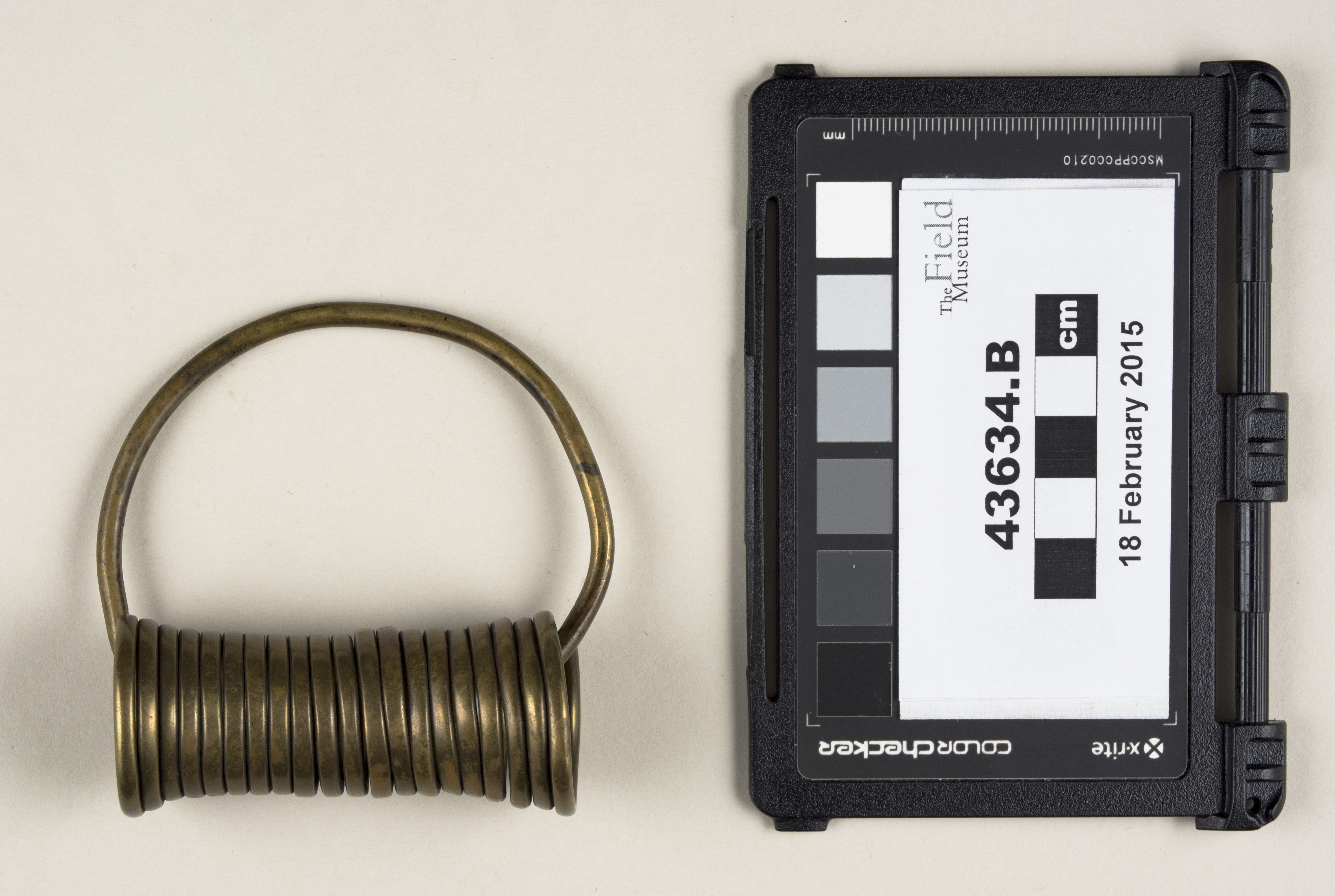 Top view (c) Field Museum of Natural History - CC BY-NC 4.0