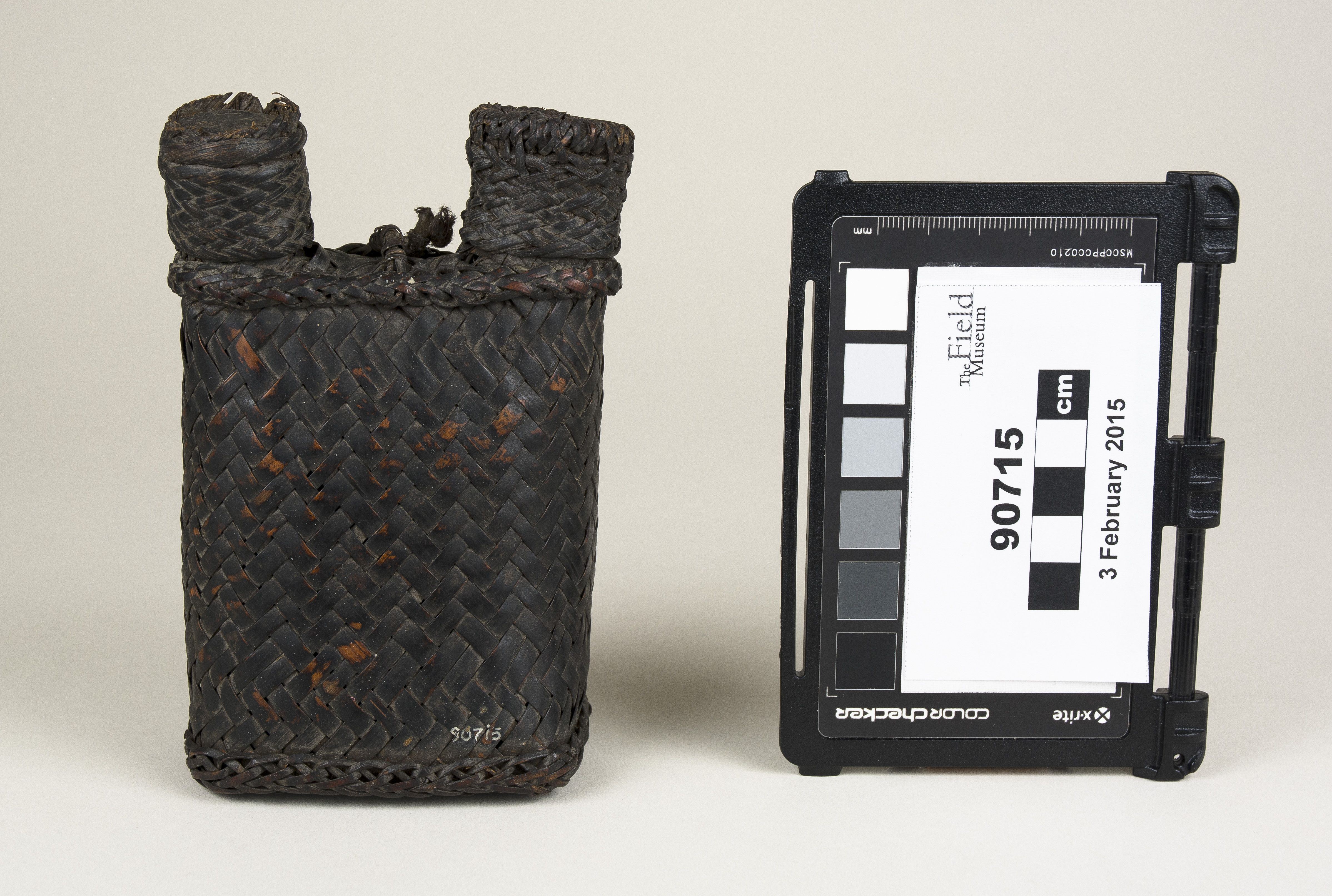 Front view (c) Field Museum of Natural History - CC BY-NC 4.0