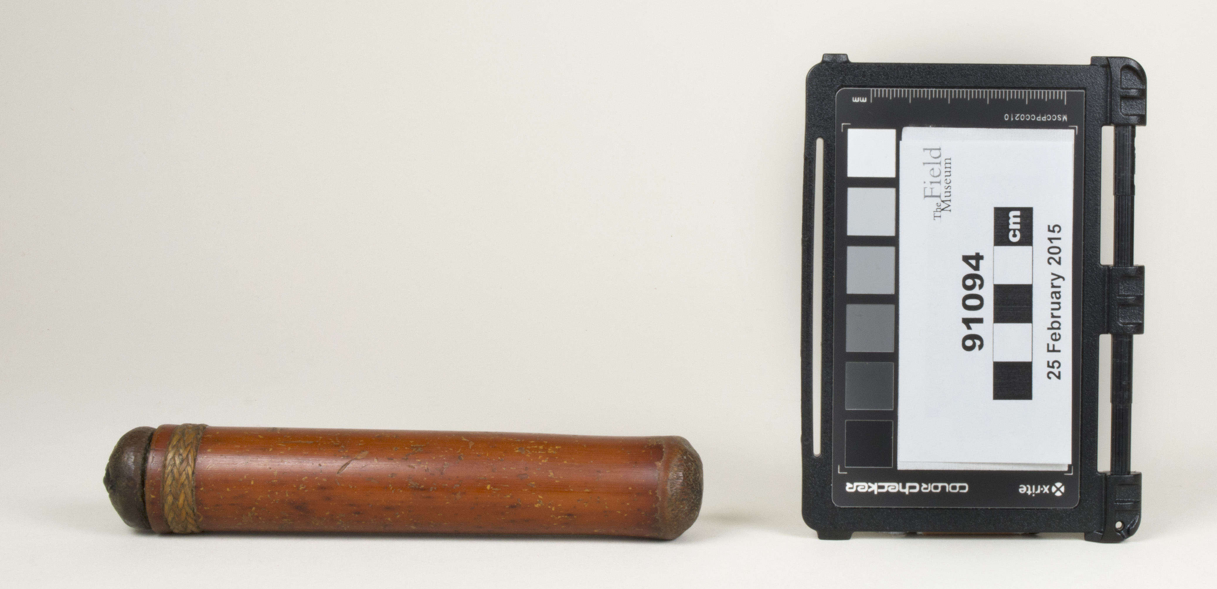 Side view (c) Field Museum of Natural History - CC BY-NC 4.0