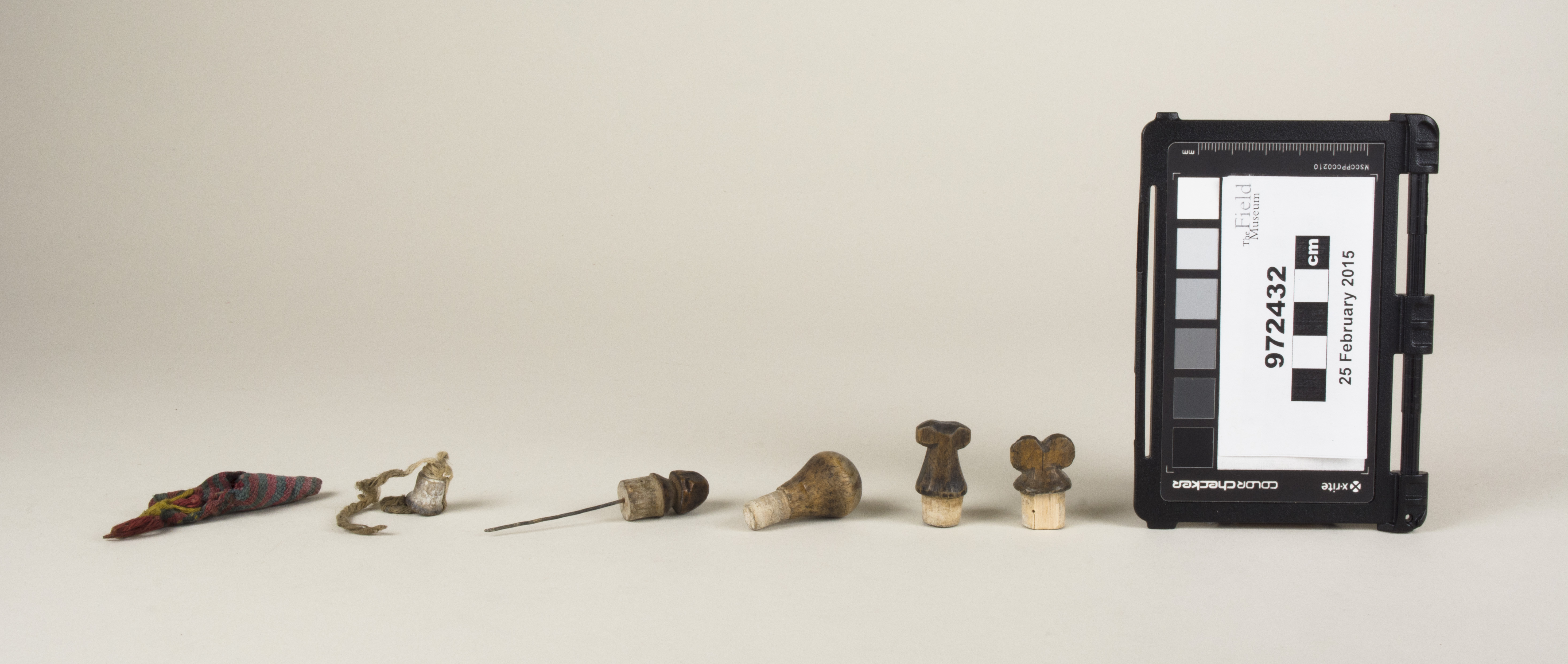 Front view (c) Field Museum of Natural History - CC BY-NC 4.0