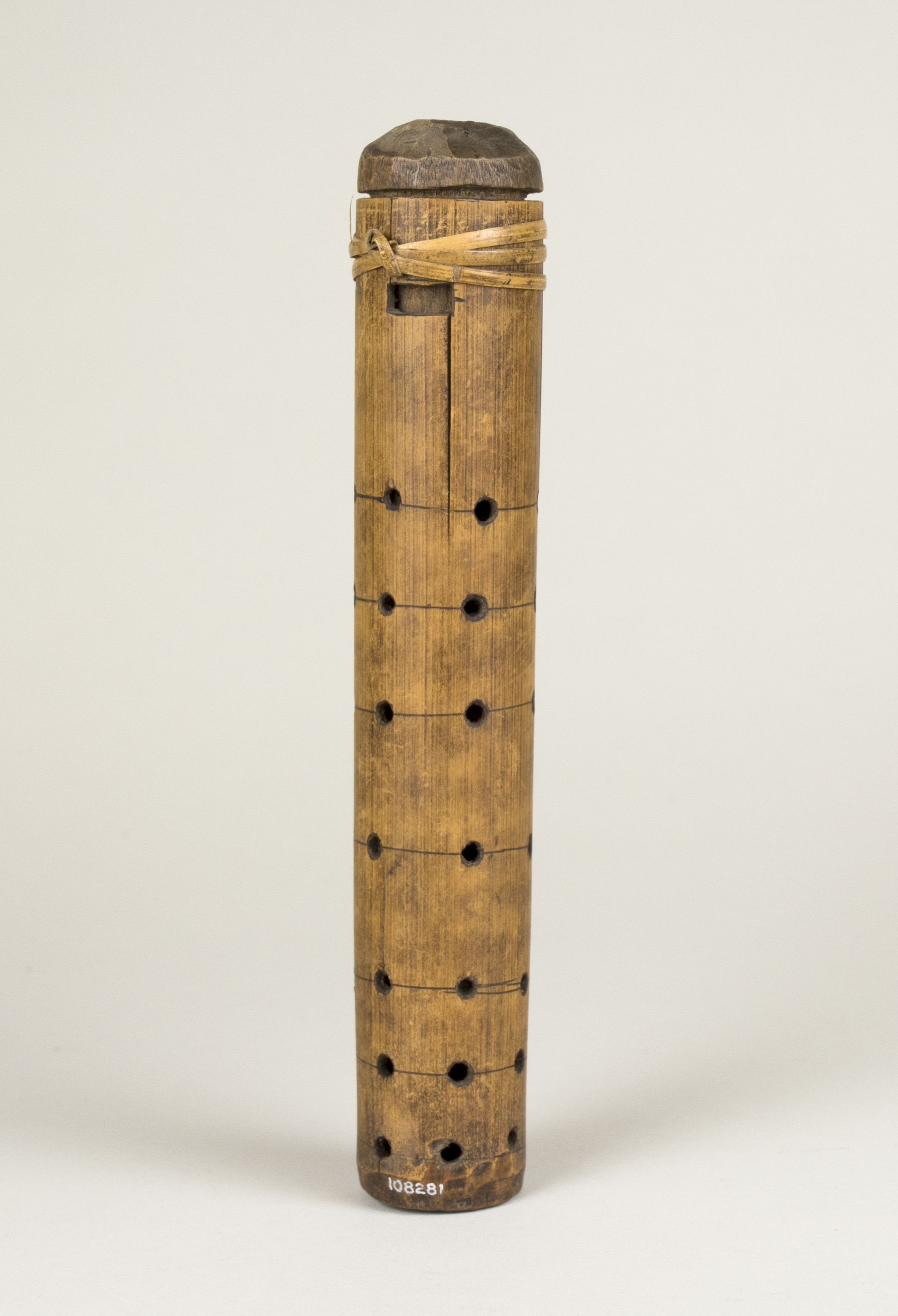 Front view (c) Field Museum of Natural History - CC BY-NC 4.0