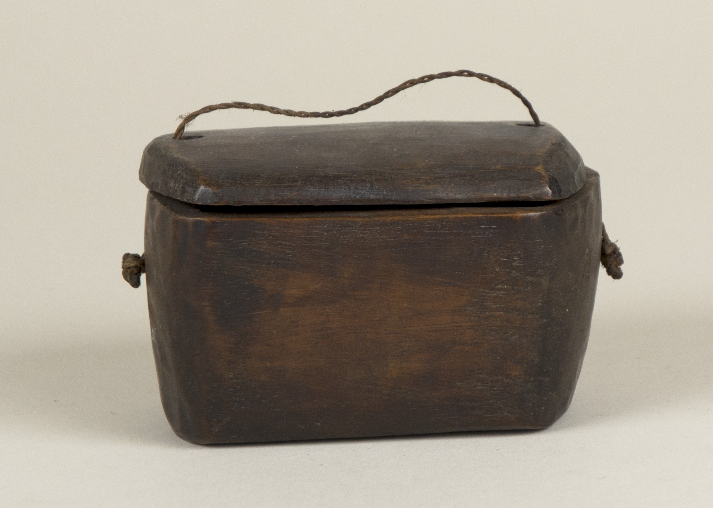 Side view (c) Field Museum of Natural History - CC BY-NC 4.0