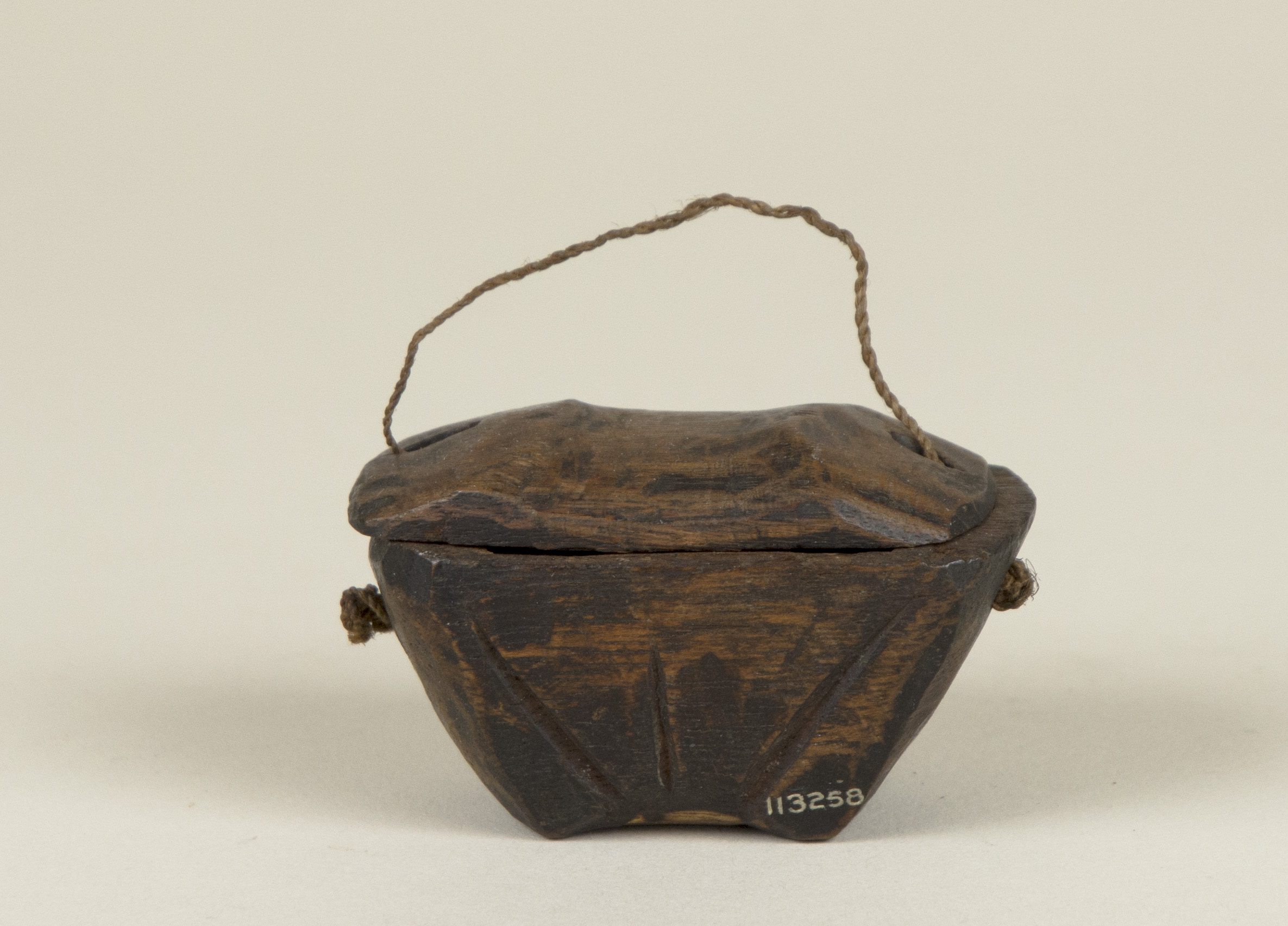 Front view (c) Field Museum of Natural History - CC BY-NC 4.0