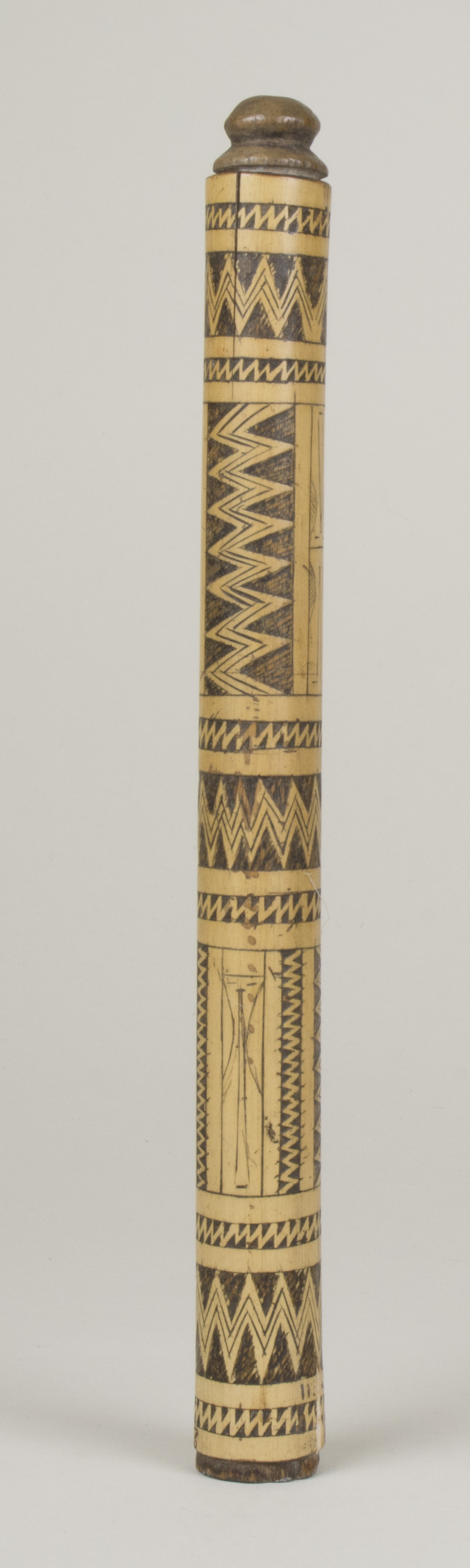 Front view (c) Field Museum of Natural History - CC BY-NC 4.0