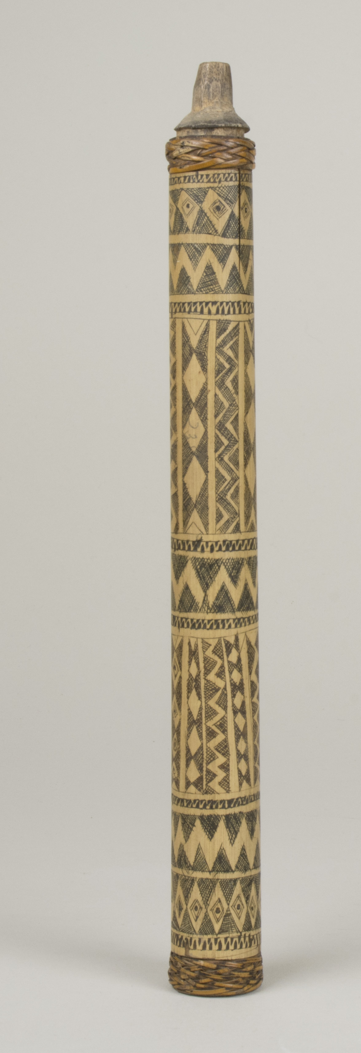 Front view (c) Field Museum of Natural History - CC BY-NC 4.0