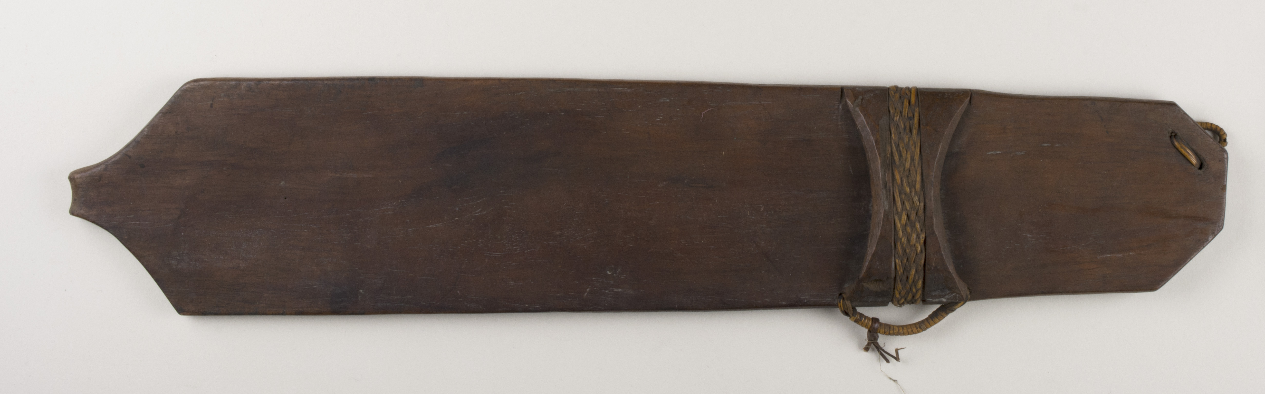 Top view (c) Field Museum of Natural History - CC BY-NC 4.0