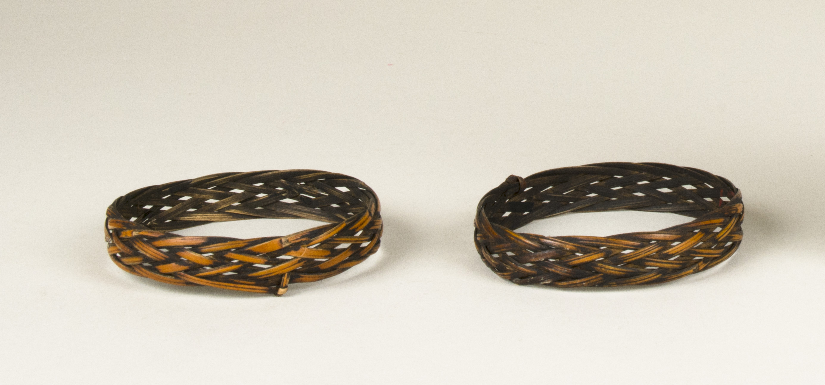 Front view (c) Field Museum of Natural History - CC BY-NC 4.0