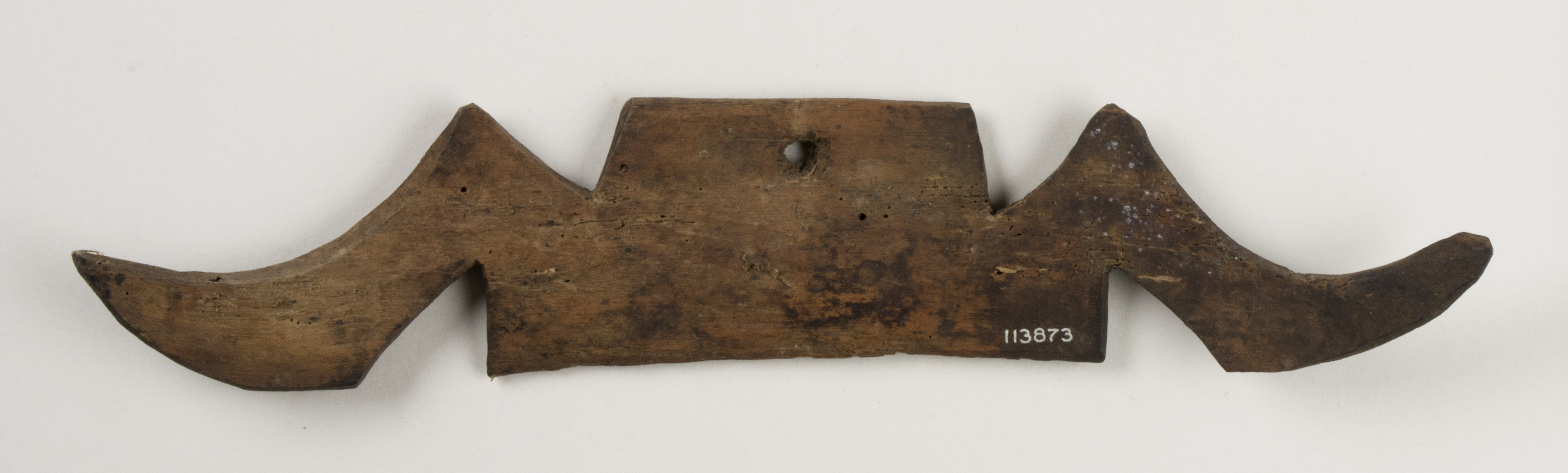 Front view (c) Field Museum of Natural History - CC BY-NC 4.0