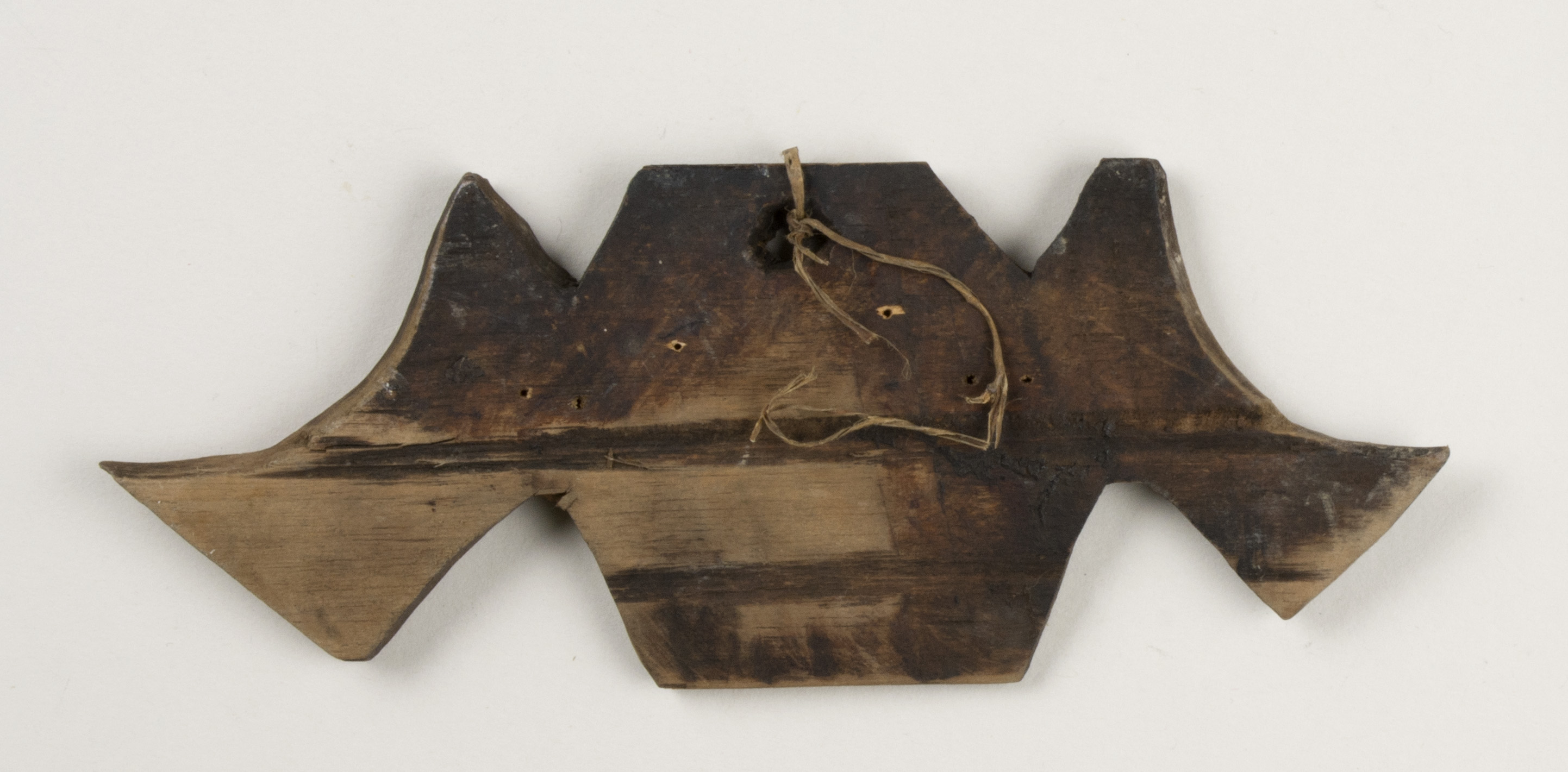 Back view (c) Field Museum of Natural History - CC BY-NC 4.0