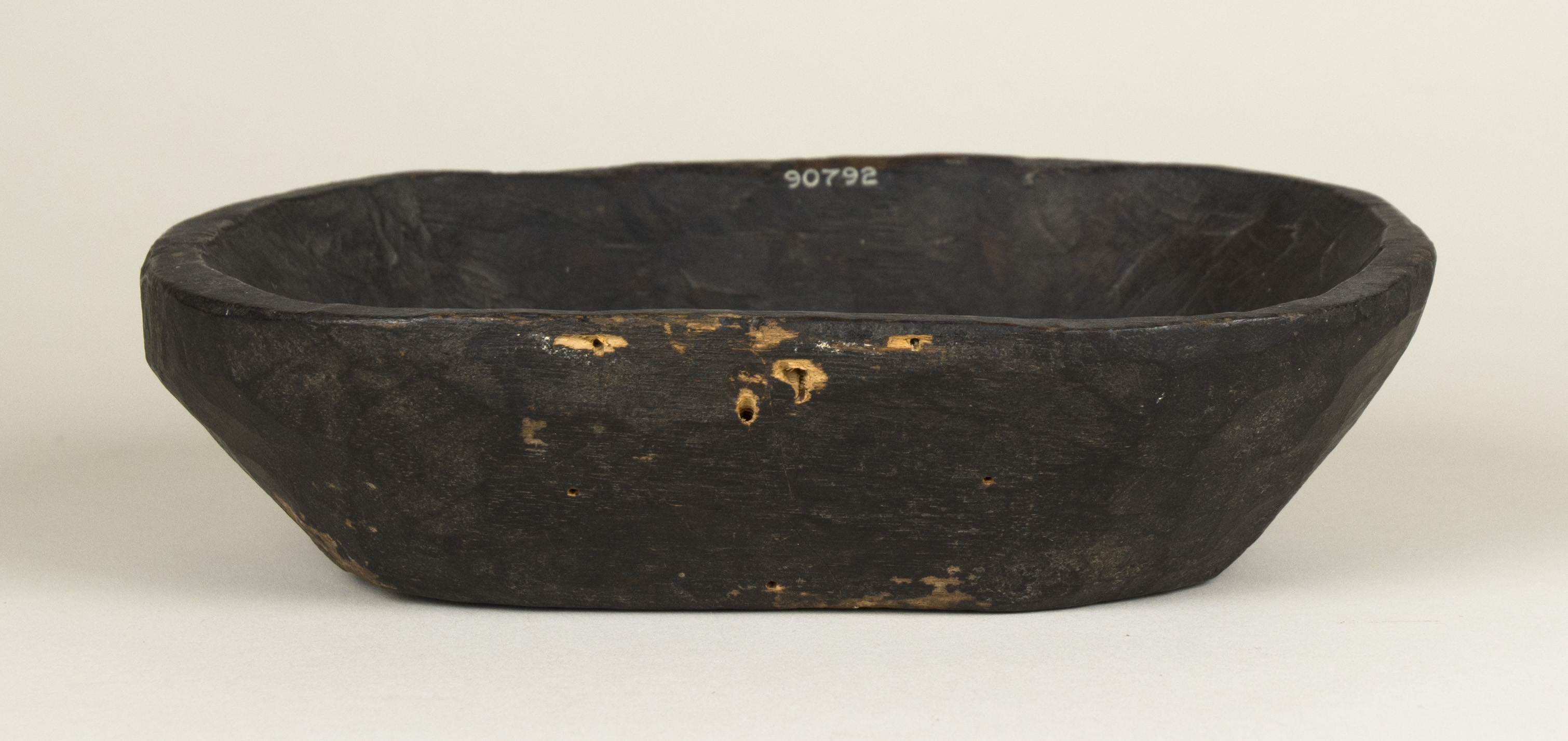 Side view (c) Field Museum of Natural History - CC BY-NC 4.0