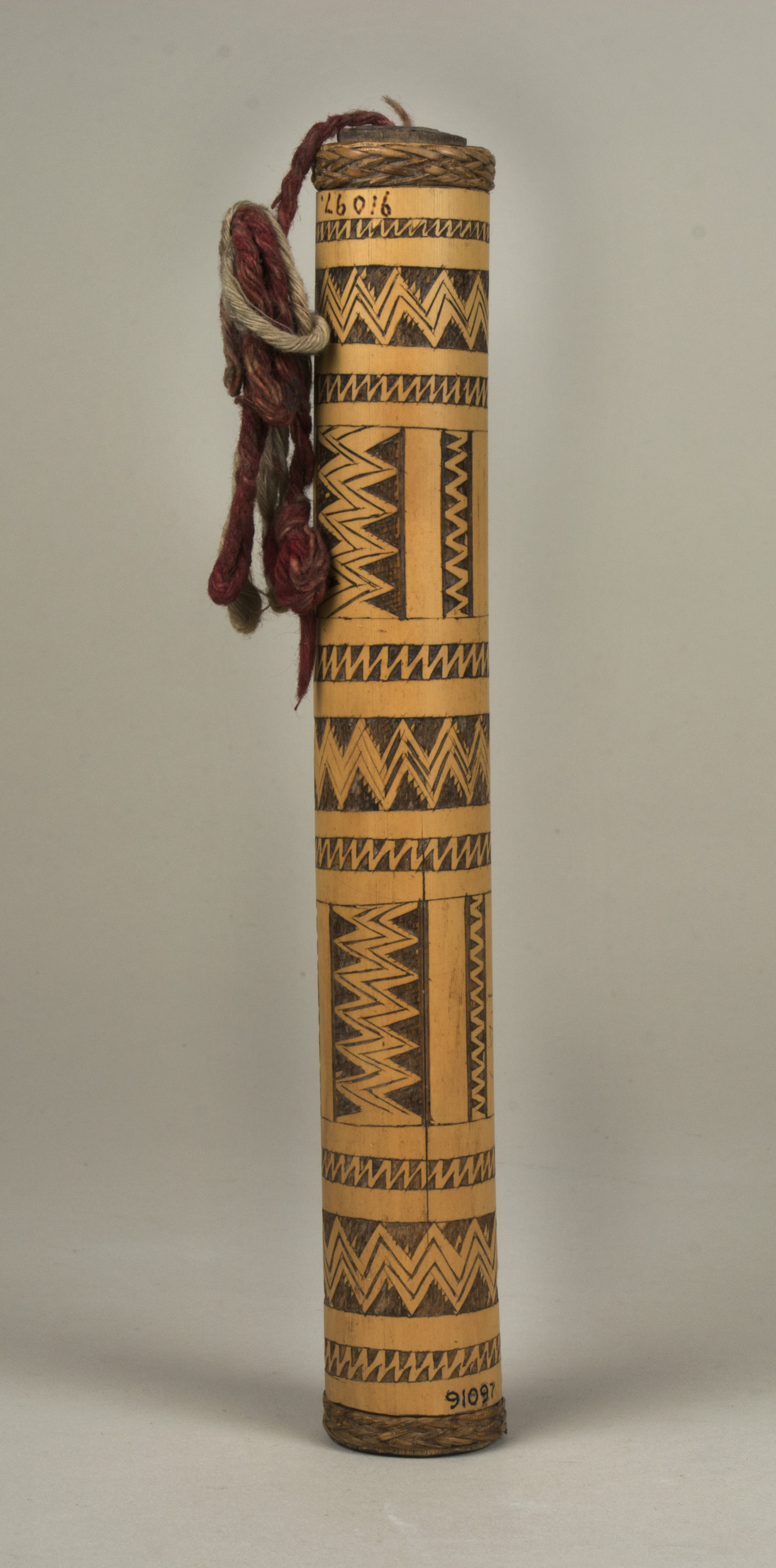 Front view (c) Field Museum of Natural History - CC BY-NC 4.0