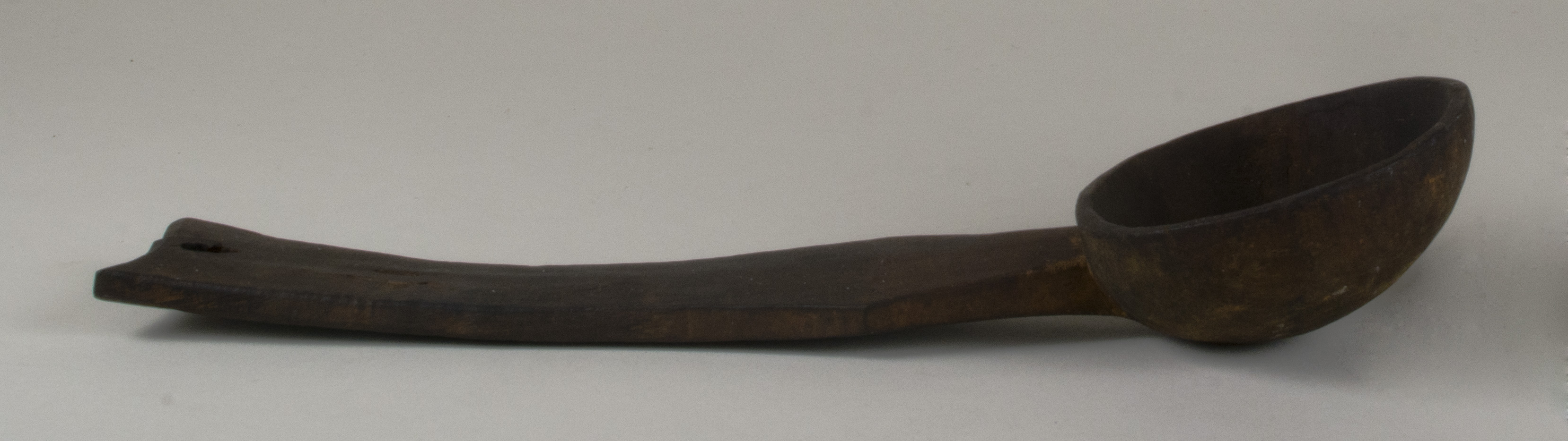 Side view without scale (c) Field Museum of Natural History - CC BY-NC 4.0