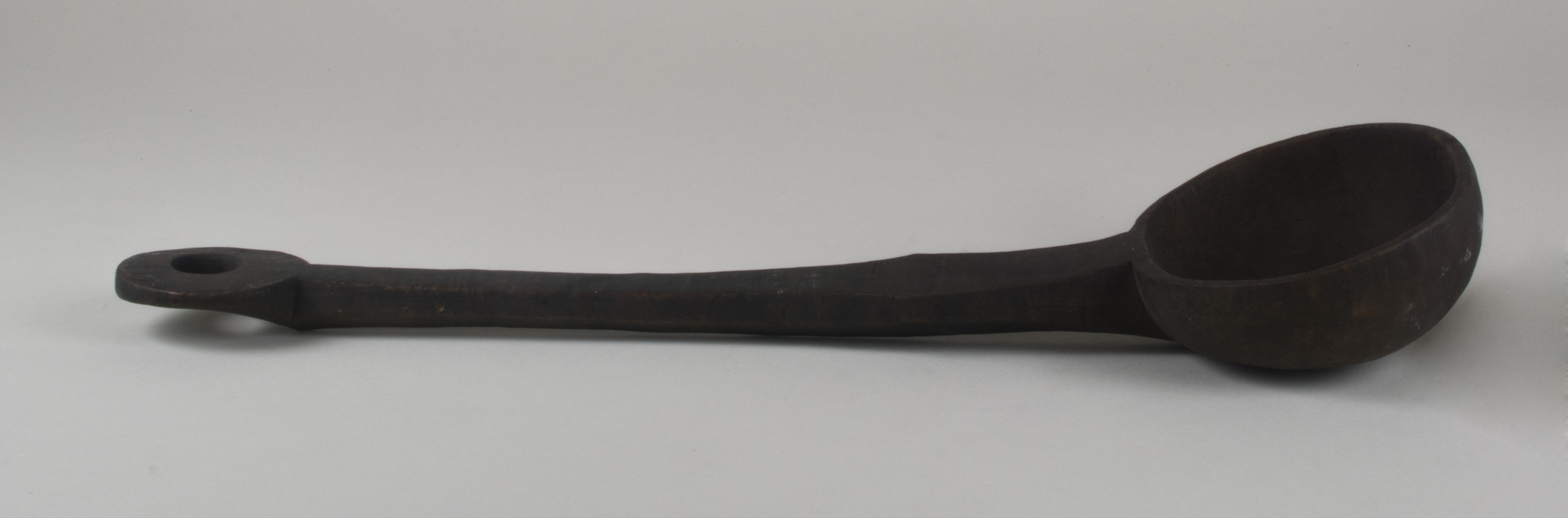 Side view without scale (c) Field Museum of Natural History - CC BY-NC 4.0