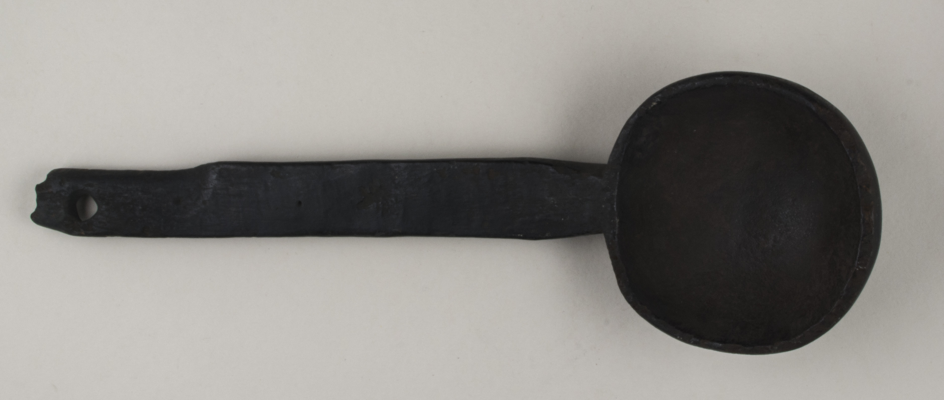 Top view without scale (c) Field Museum of Natural History - CC BY-NC 4.0