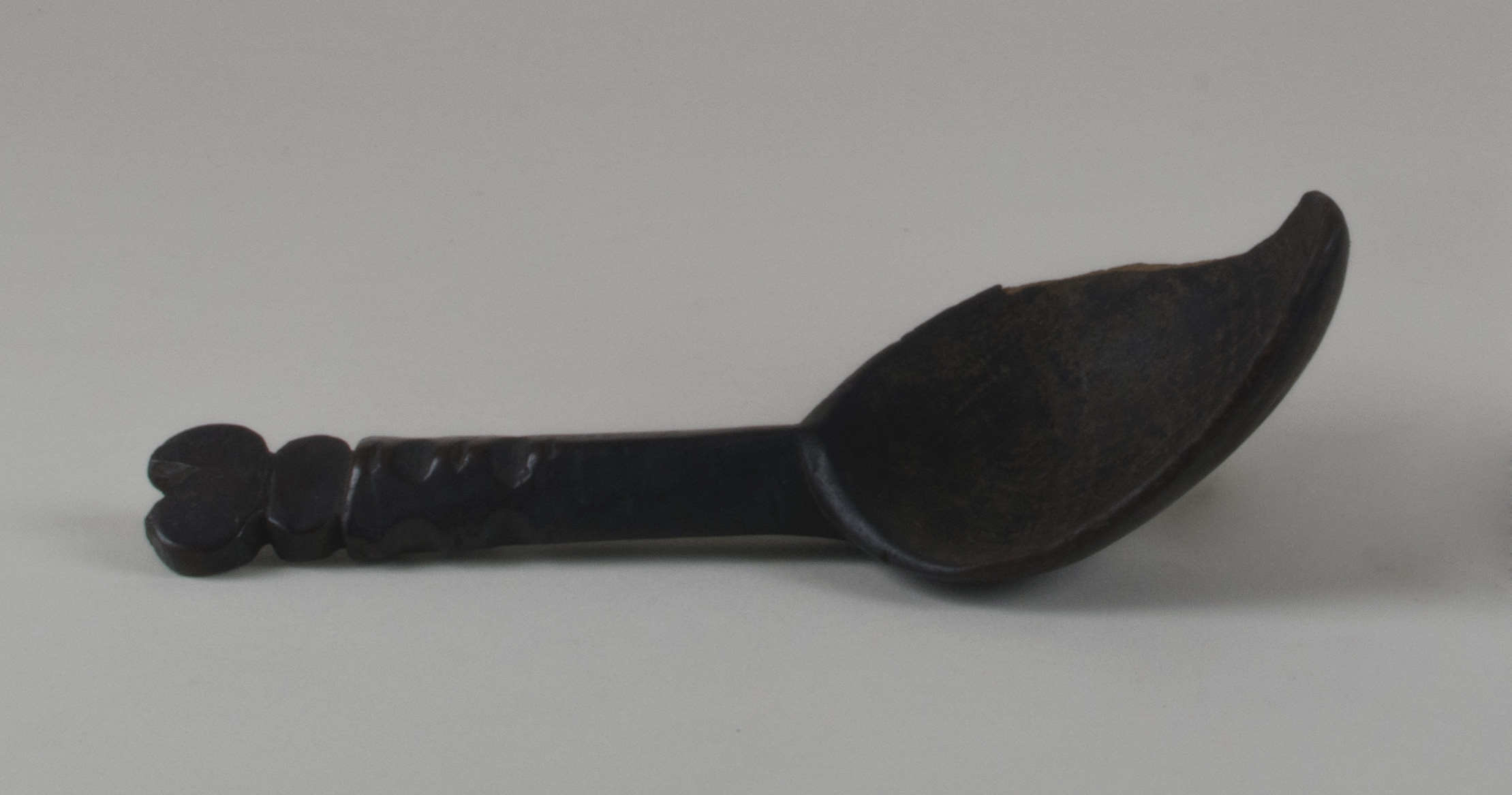 Side view without scale (c) Field Museum of Natural History - CC BY-NC 4.0