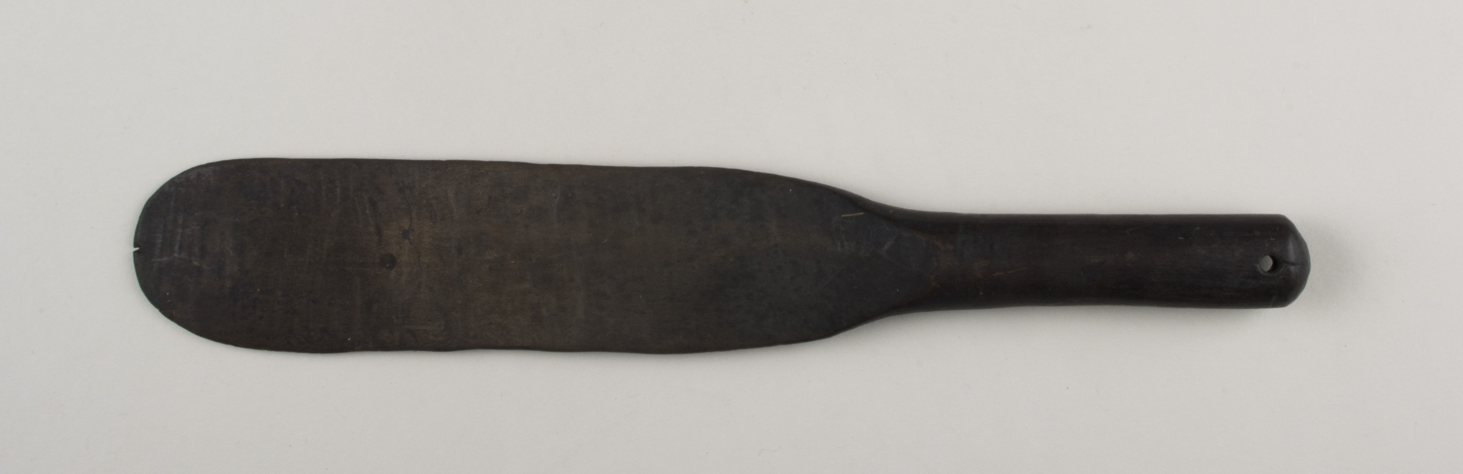 Front view without scale (c) Field Museum of Natural History - CC BY-NC 4.0