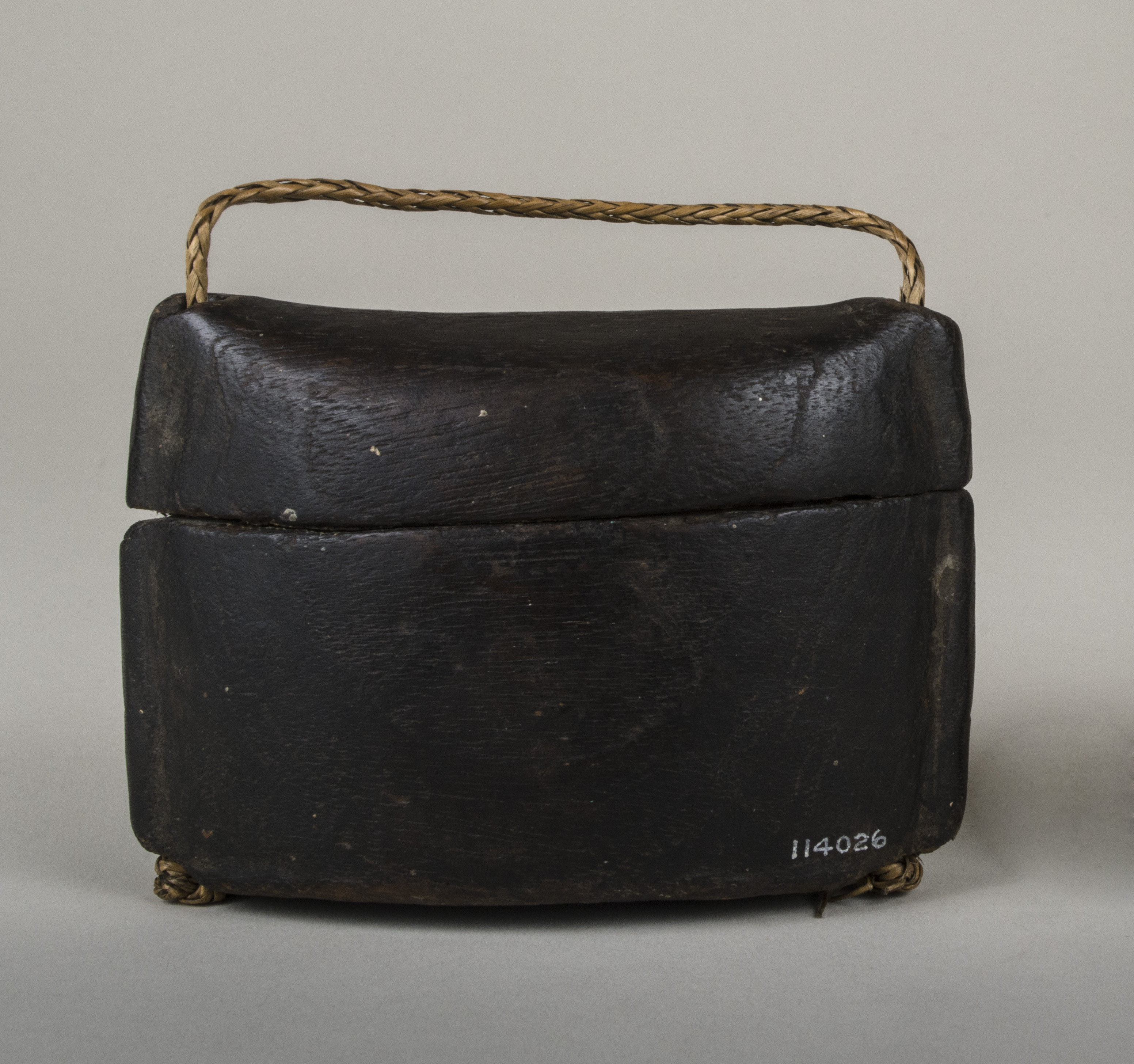 Front view without scale (c) Field Museum of Natural History - CC BY-NC 4.0