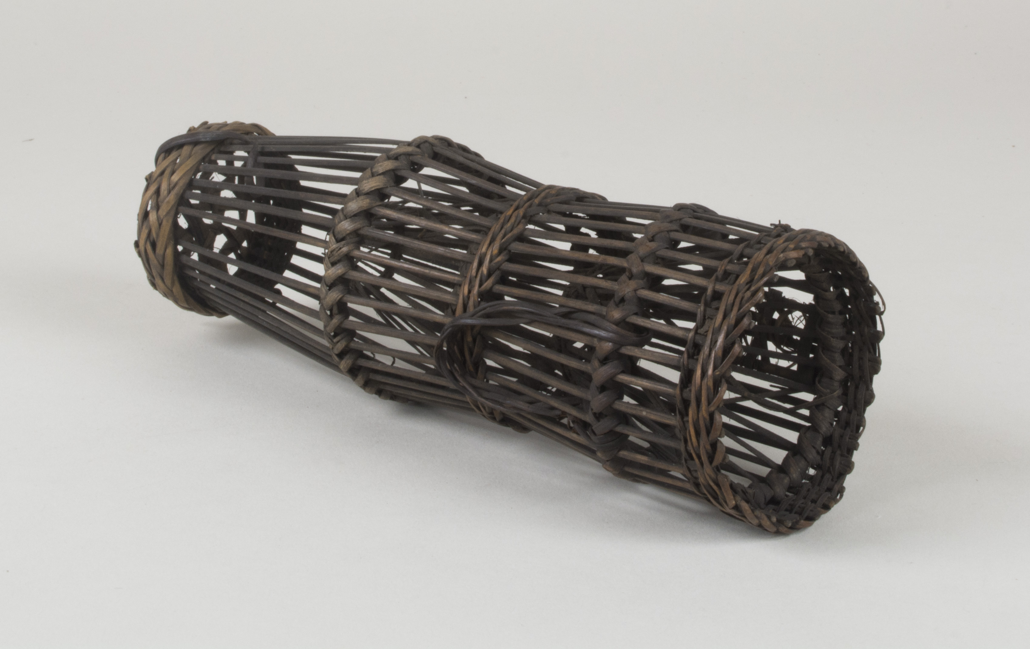 Side view without scale (c) Field Museum of Natural History - CC BY-NC 4.0