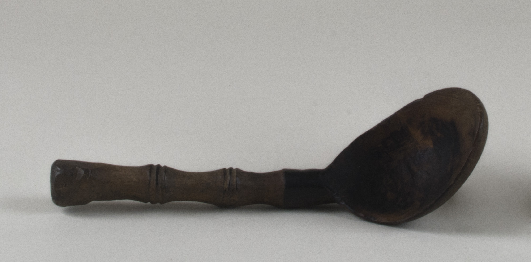 Side view without scale (c) Field Museum of Natural History - CC BY-NC 4.0