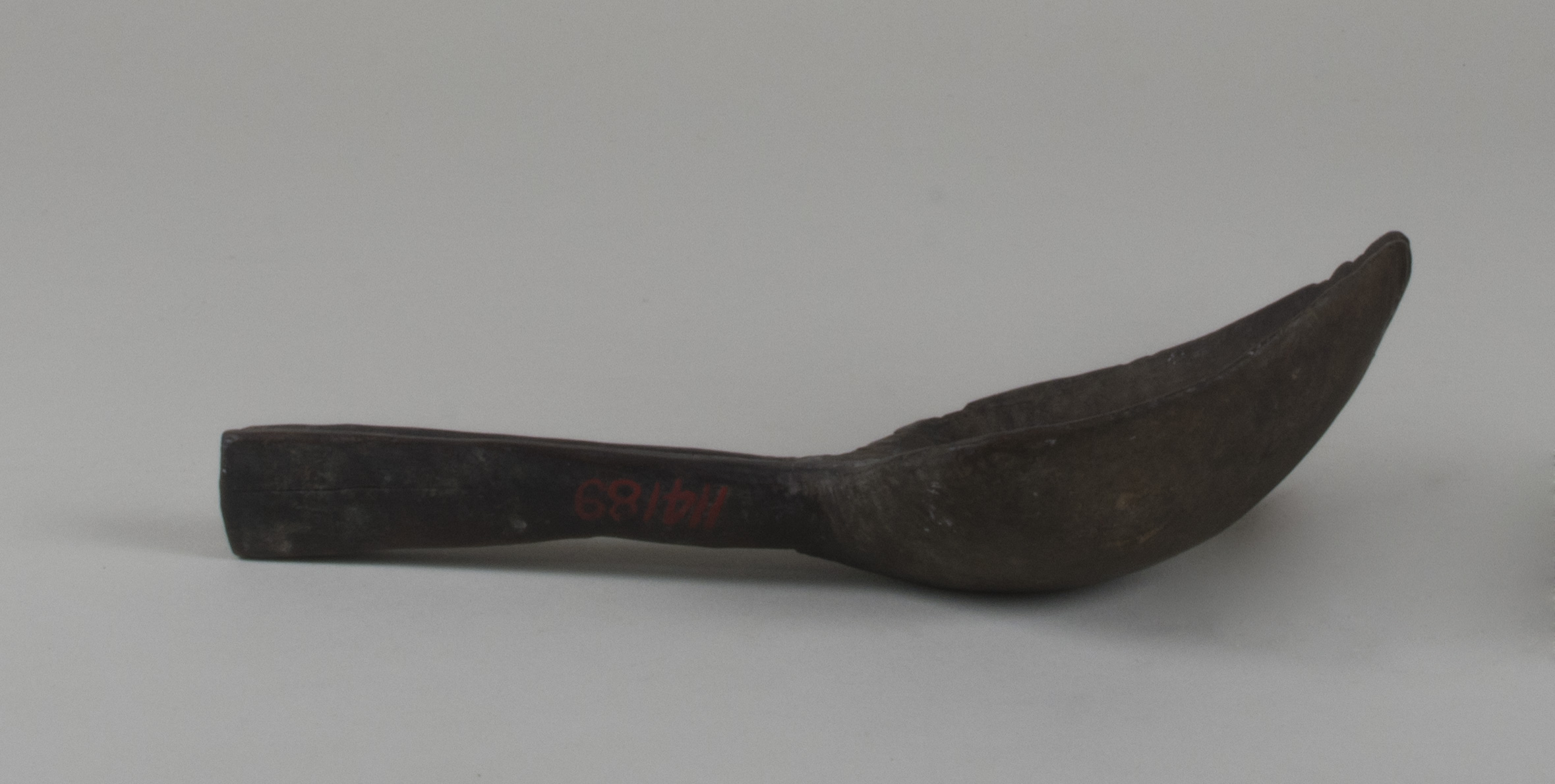 Side view without scale (c) Field Museum of Natural History - CC BY-NC 4.0