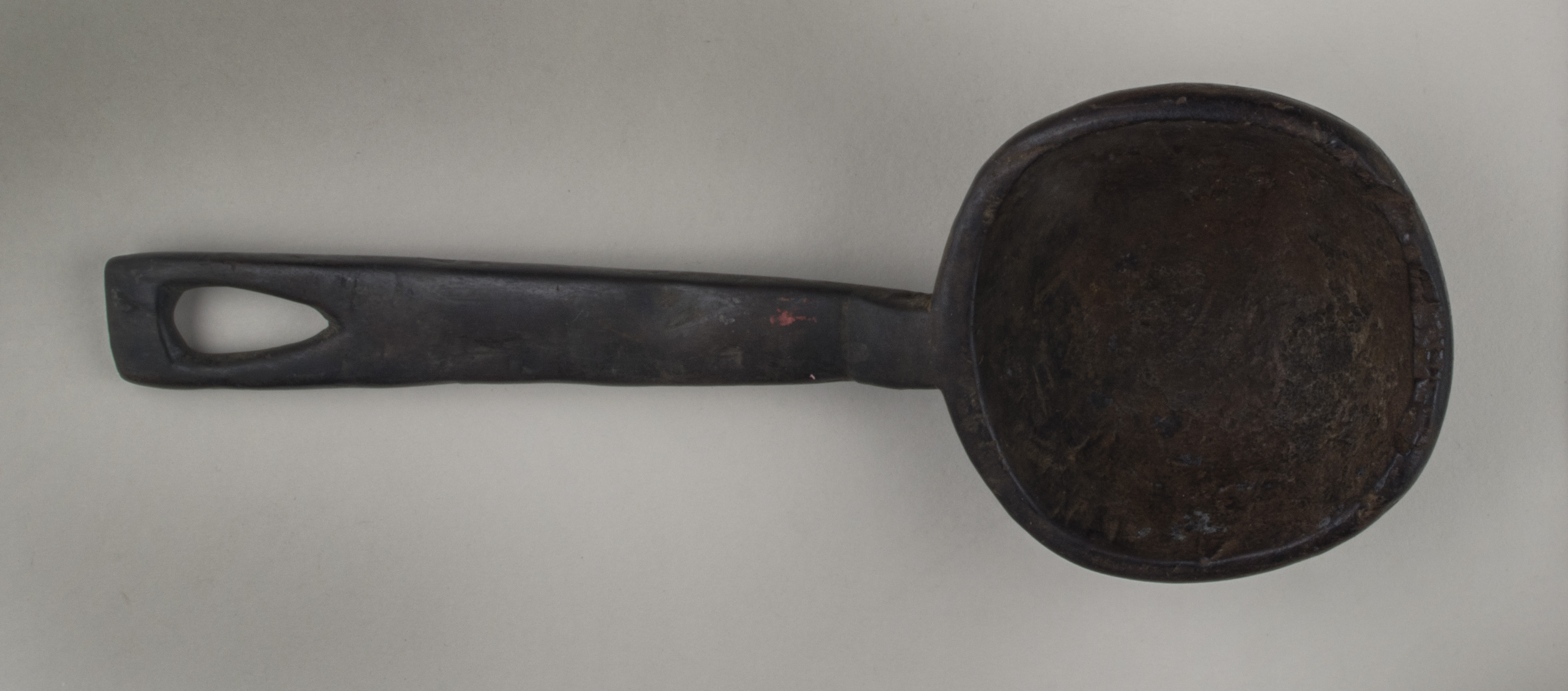 Top view without scale (c) Field Museum of Natural History - CC BY-NC 4.0