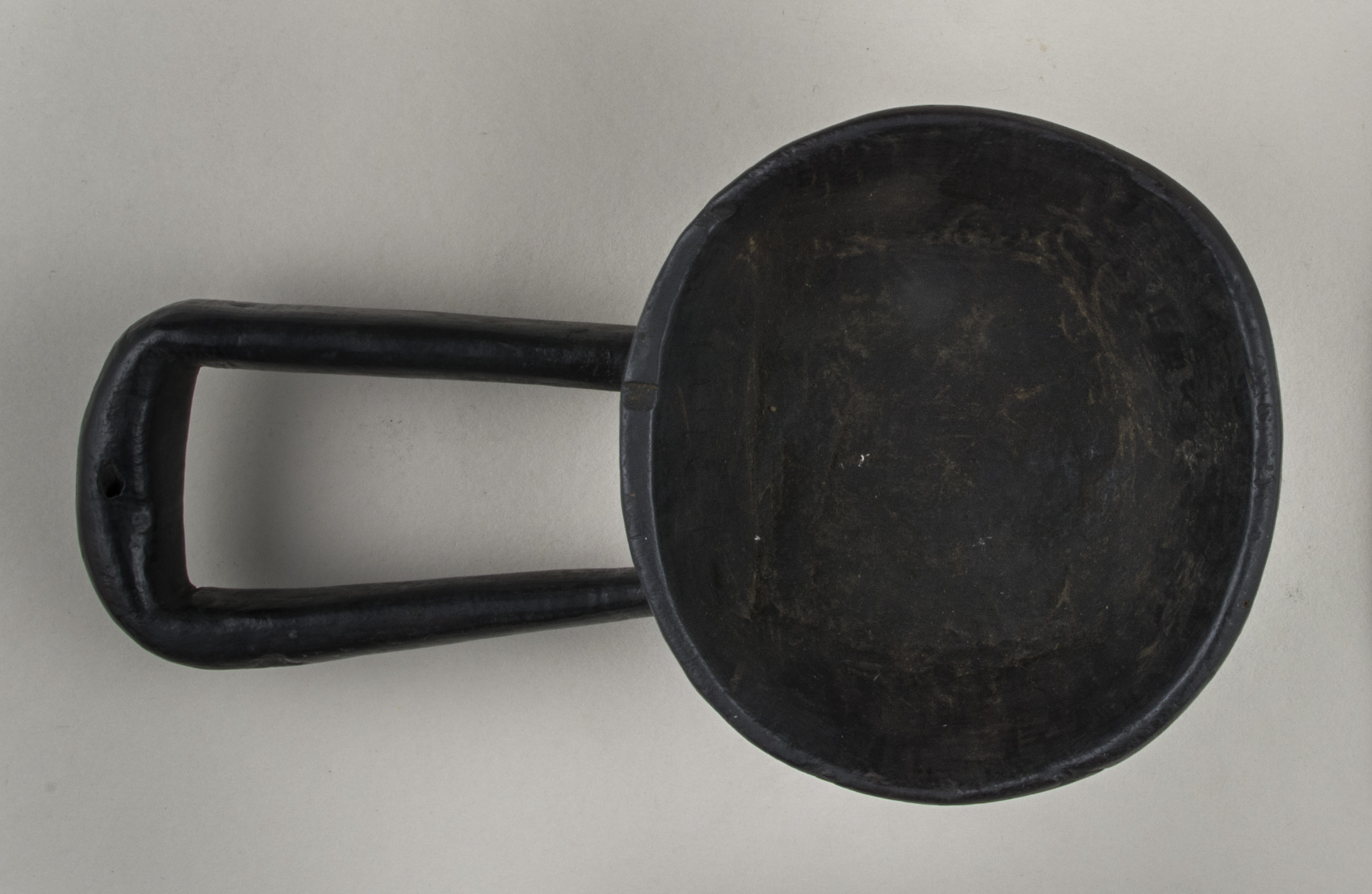 Front view without scale (c) Field Museum of Natural History - CC BY-NC 4.0