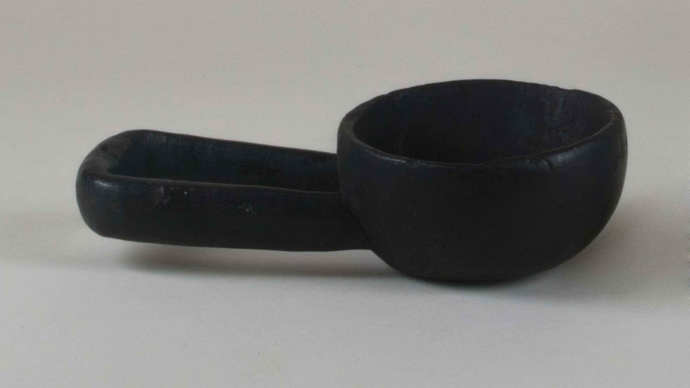 Side view without scale (c) Field Museum of Natural History - CC BY-NC 4.0