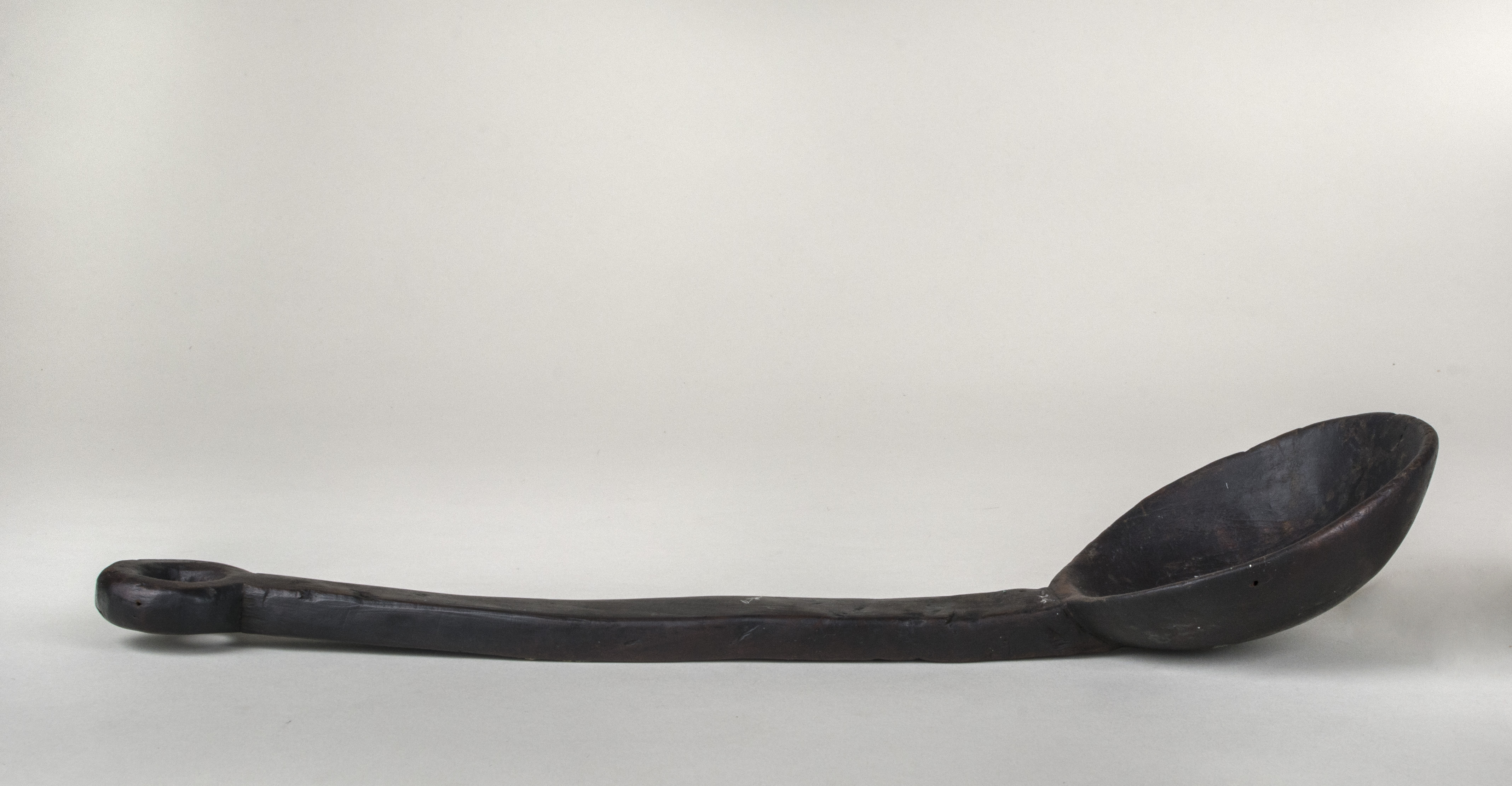 Side view without scale (c) Field Museum of Natural History - CC BY-NC 4.0