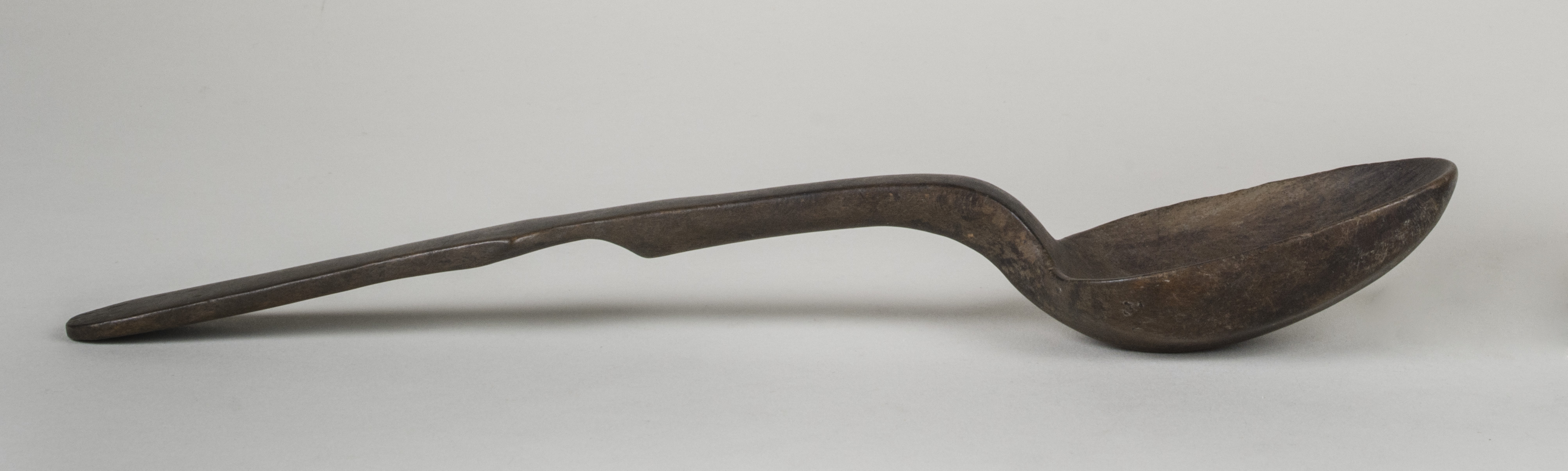 Side view without scale (c) Field Museum of Natural History - CC BY-NC 4.0