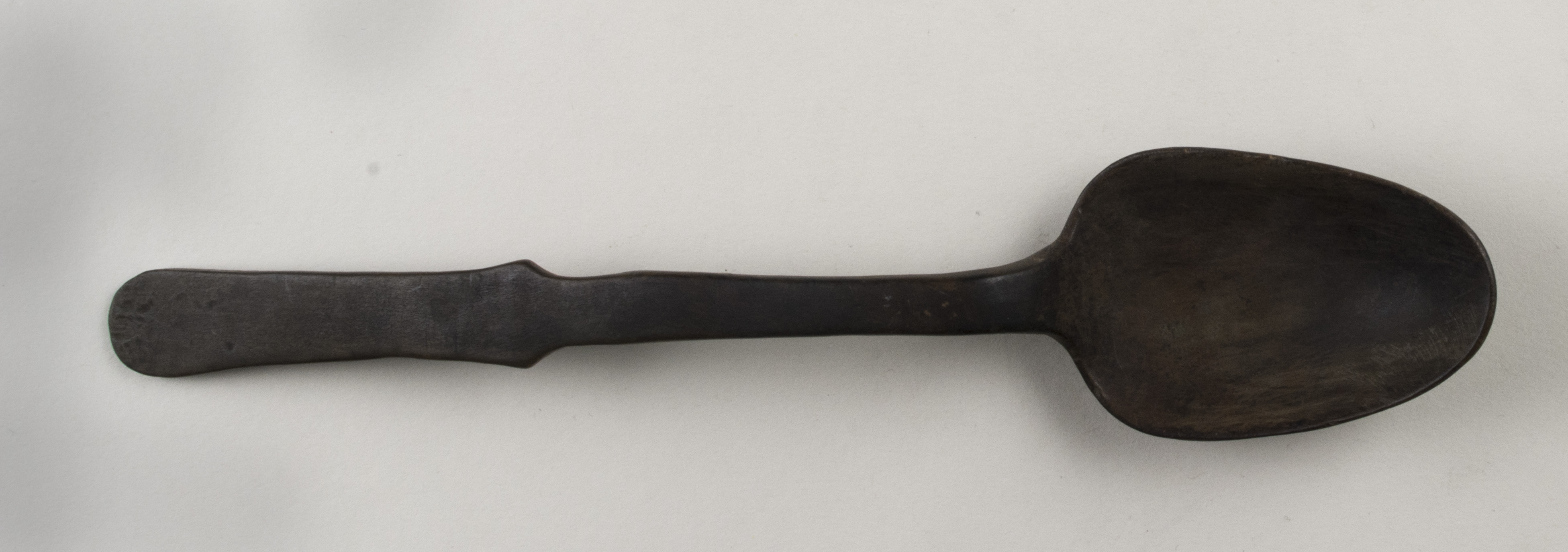 Top view without scale (c) Field Museum of Natural History - CC BY-NC 4.0