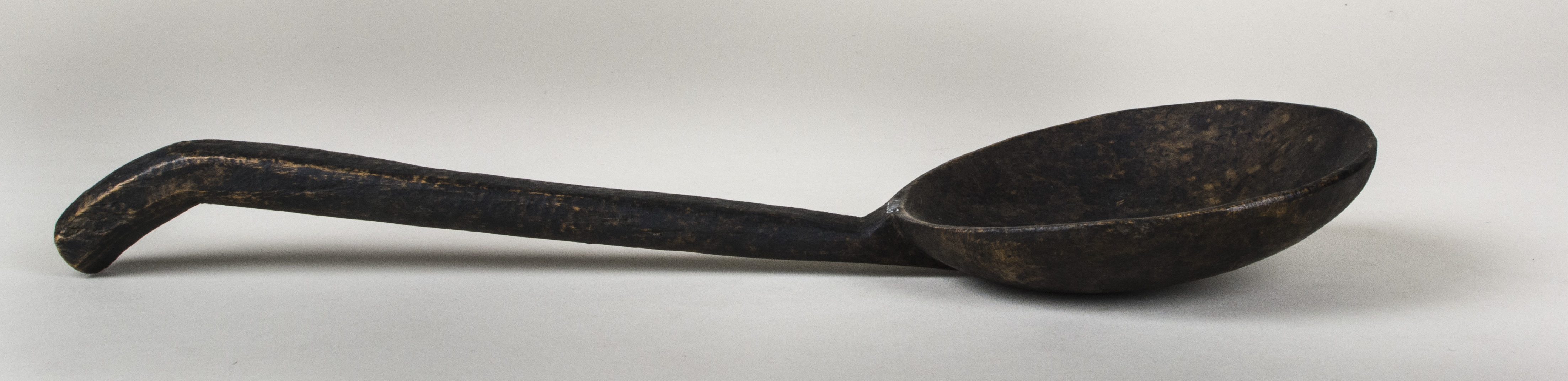 Side view without scale (c) Field Museum of Natural History - CC BY-NC 4.0