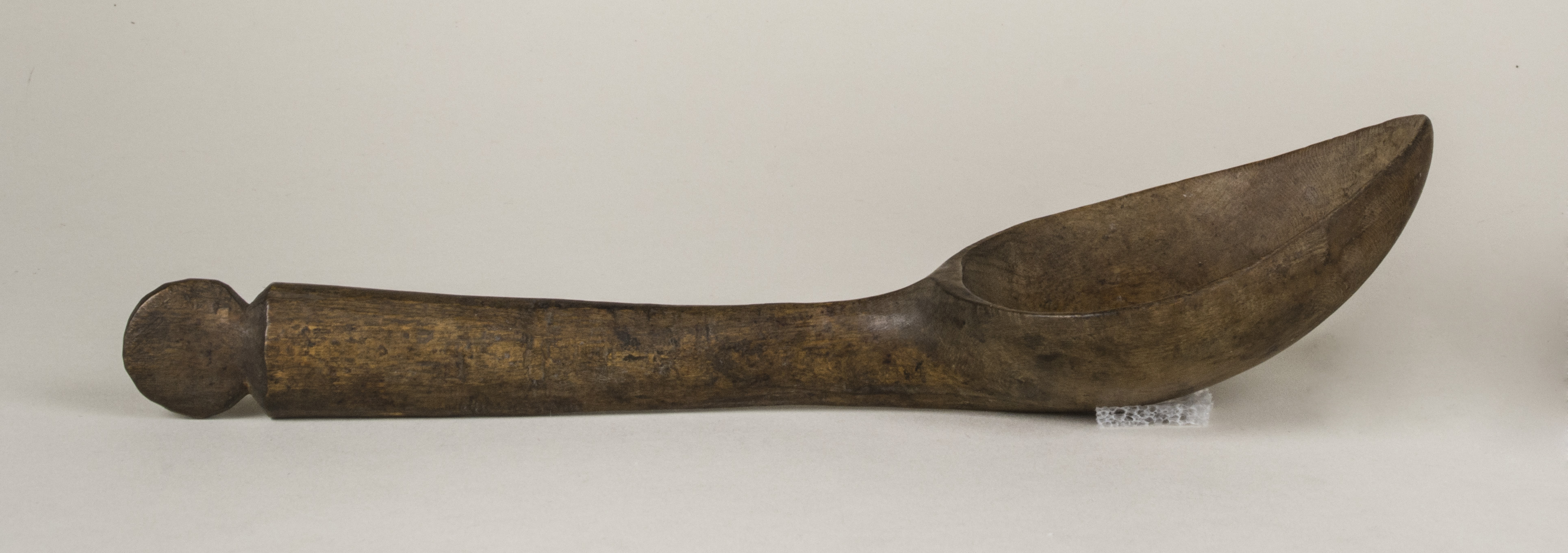 Side view without scale (c) Field Museum of Natural History - CC BY-NC 4.0