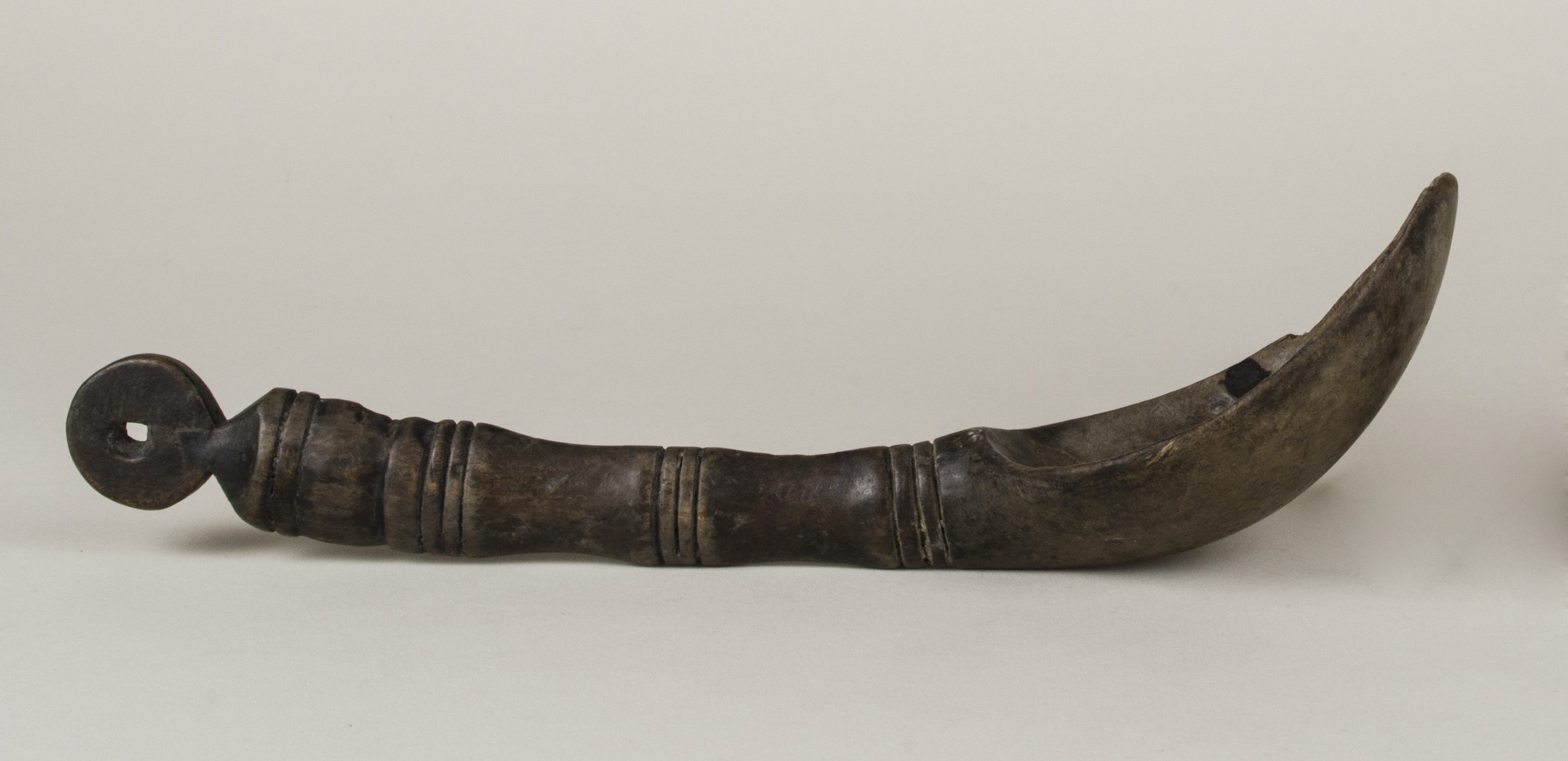 Side view without scale (c) Field Museum of Natural History - CC BY-NC 4.0