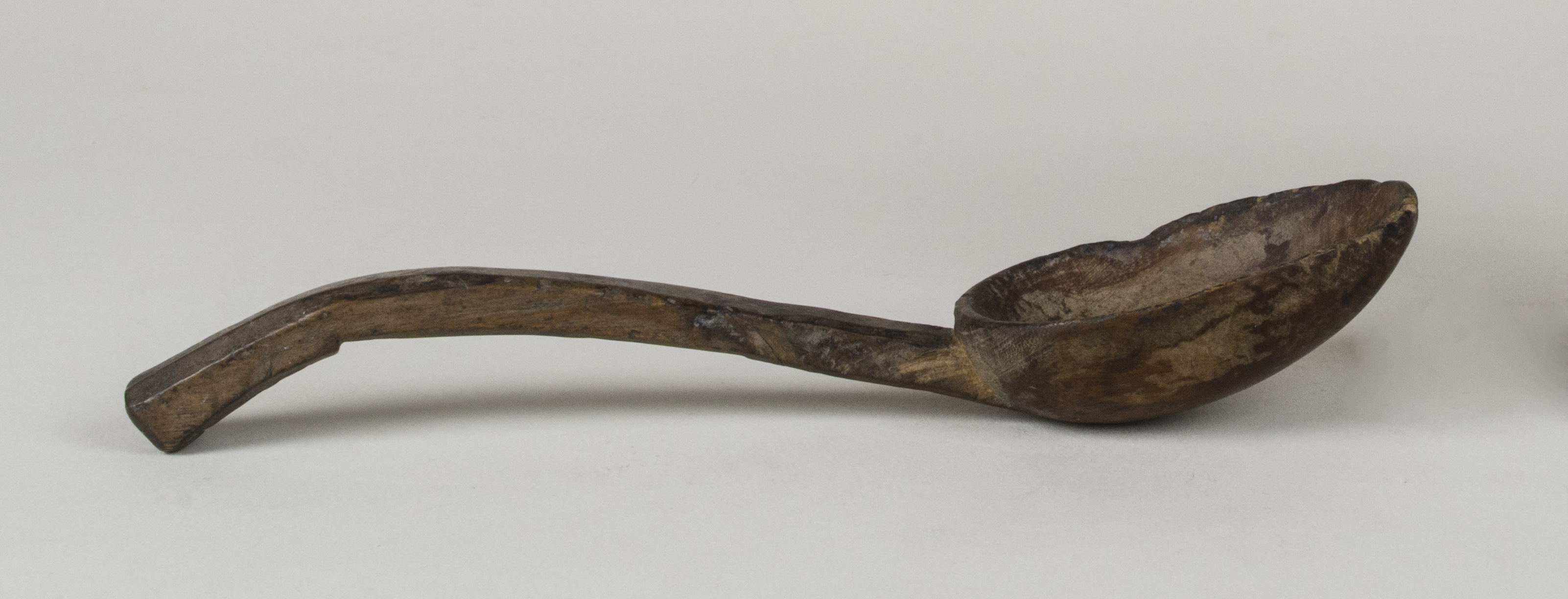 Side view without scale (c) Field Museum of Natural History - CC BY-NC 4.0