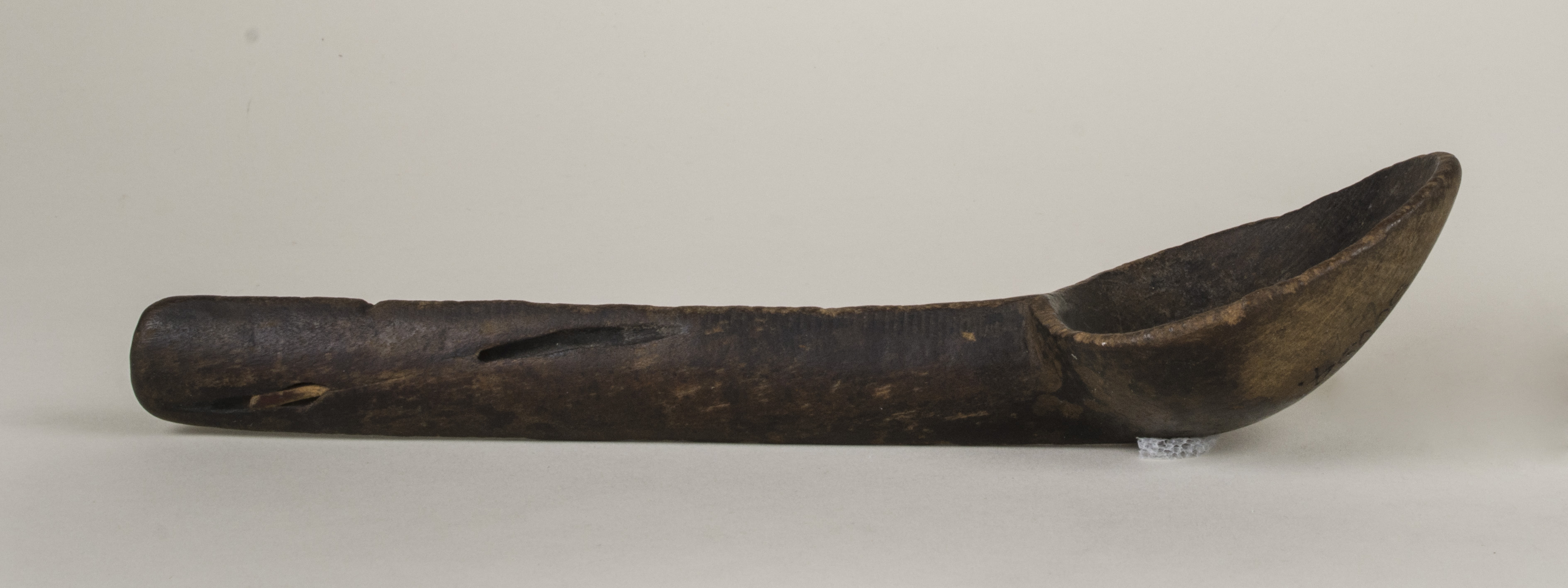 Side view without scale (c) Field Museum of Natural History - CC BY-NC 4.0