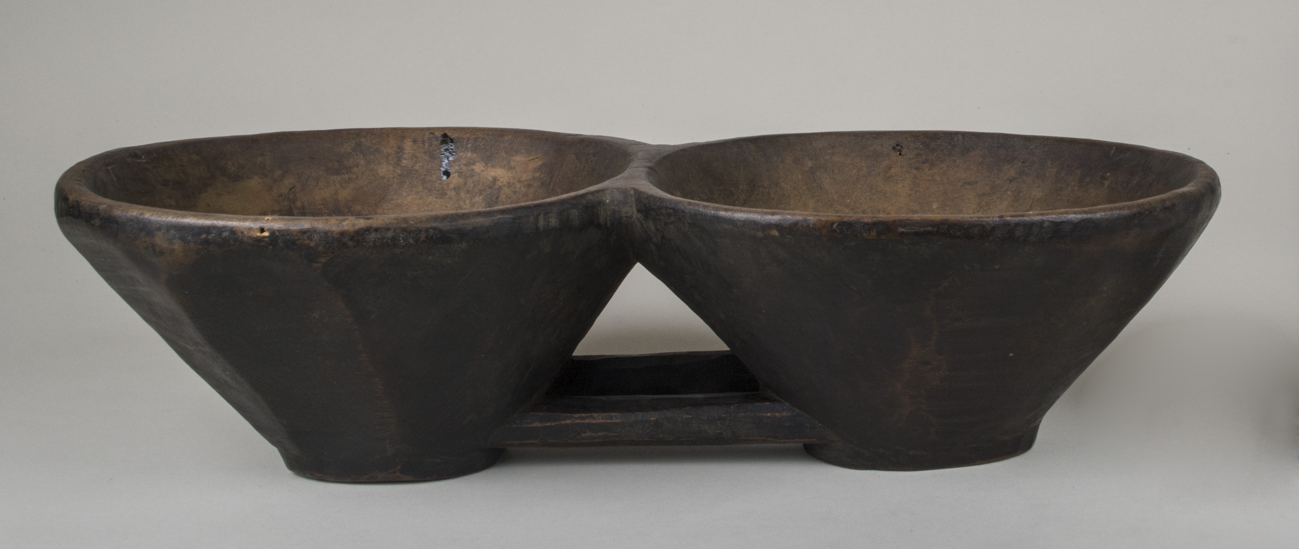 Side view without scale (c) Field Museum of Natural History - CC BY-NC 4.0