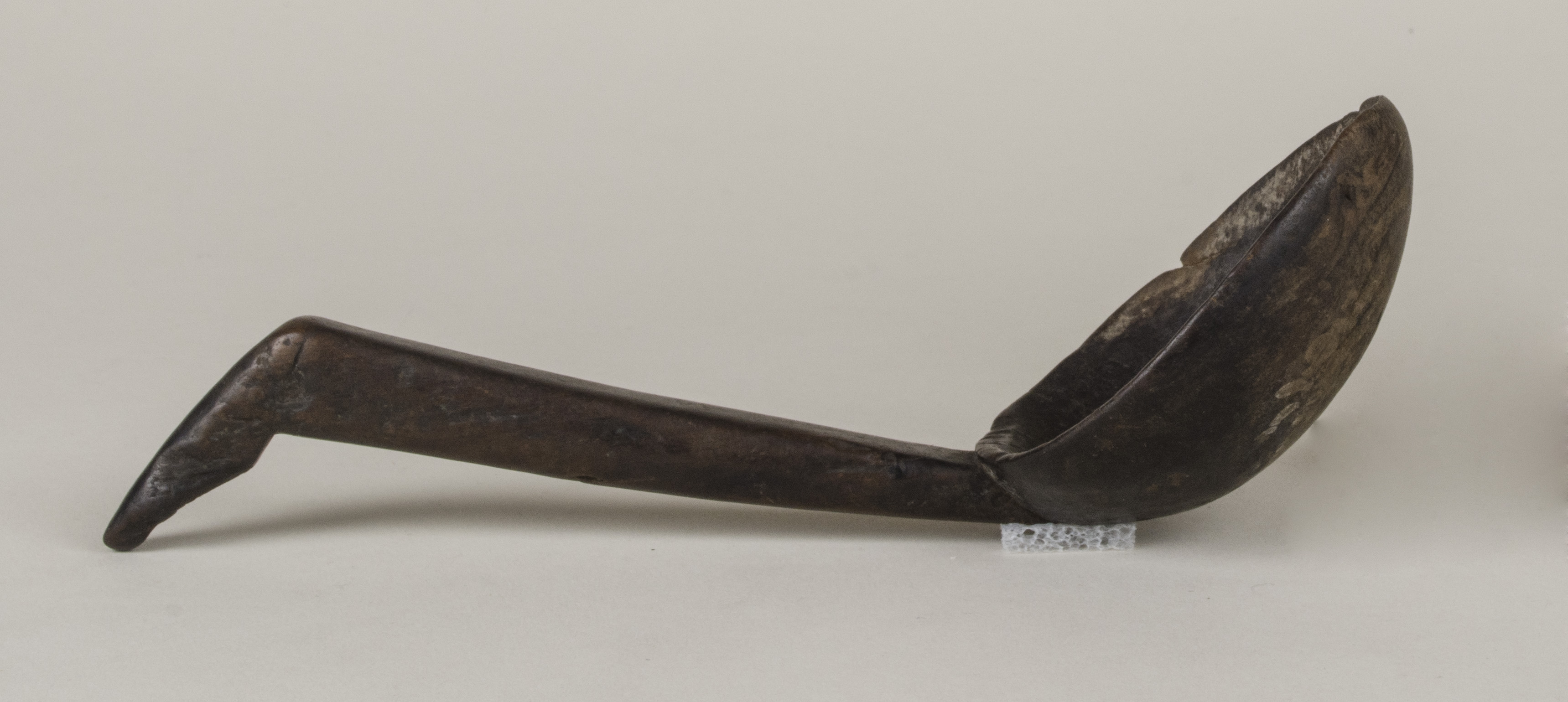 Side view without scale (c) Field Museum of Natural History - CC BY-NC 4.0