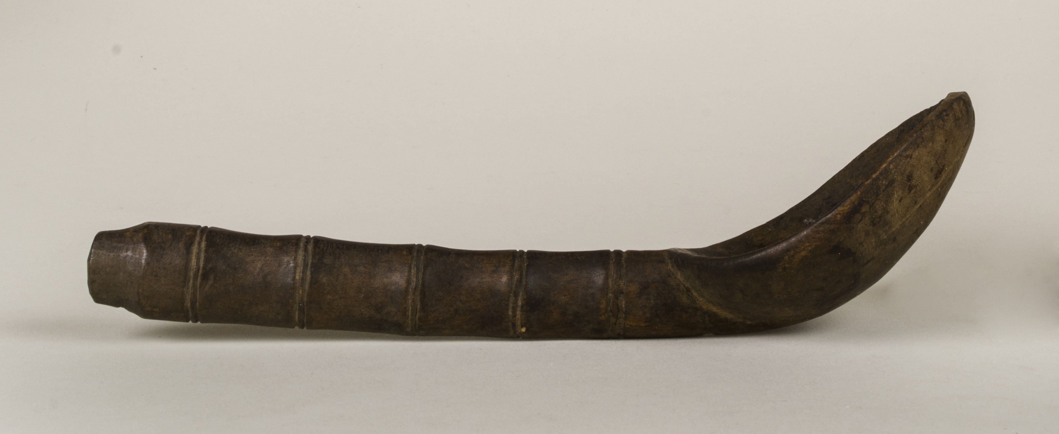 Side view without scale (c) Field Museum of Natural History - CC BY-NC 4.0