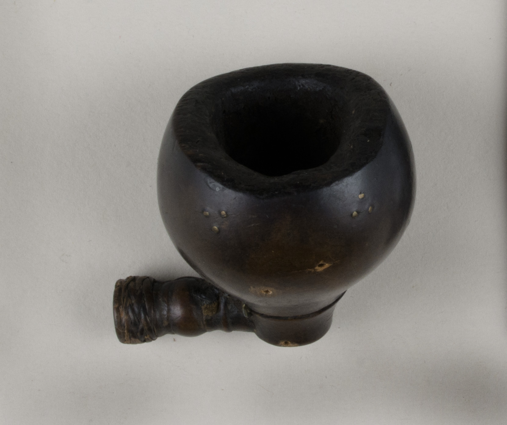 Top view without scale (c) Field Museum of Natural History - CC BY-NC 4.0