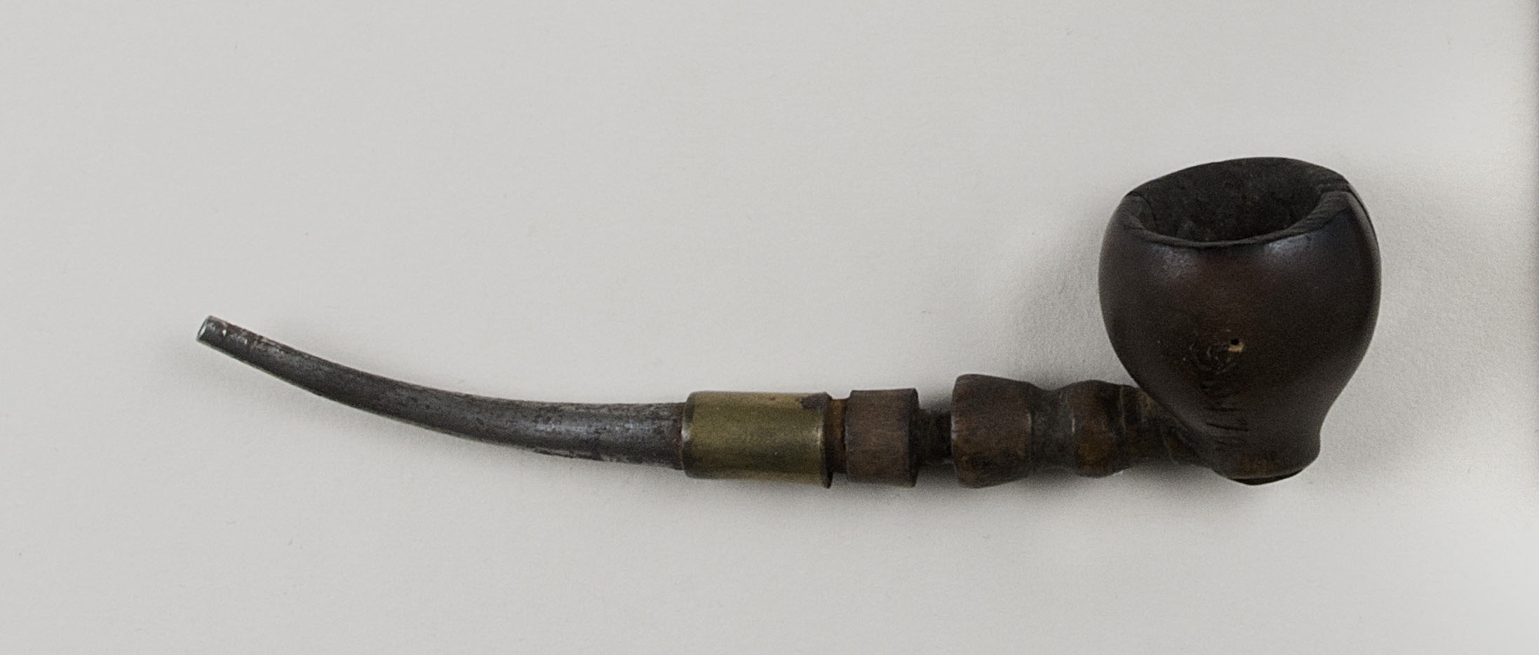 Top view without scale (c) Field Museum of Natural History - CC BY-NC 4.0