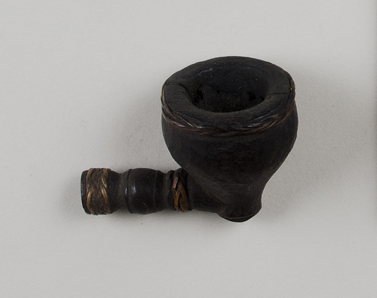 Top view without scale (c) Field Museum of Natural History - CC BY-NC 4.0