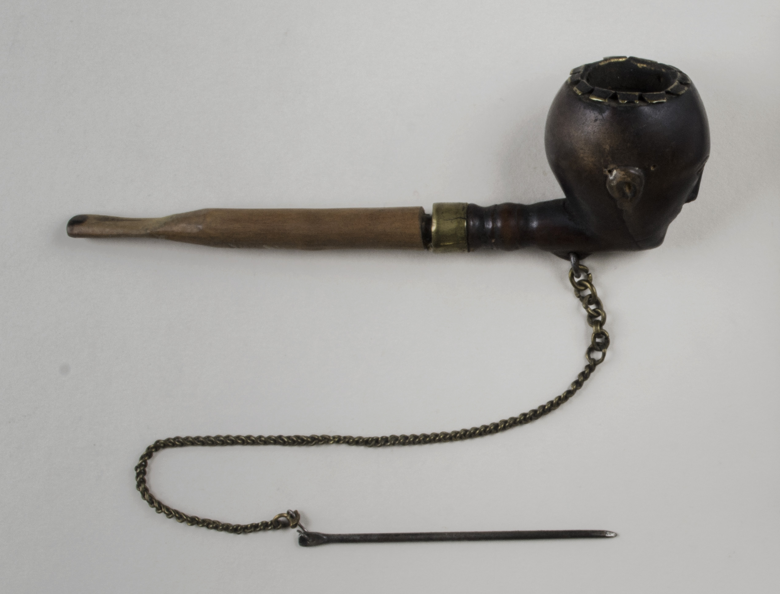 Top view without scale (c) Field Museum of Natural History - CC BY-NC 4.0