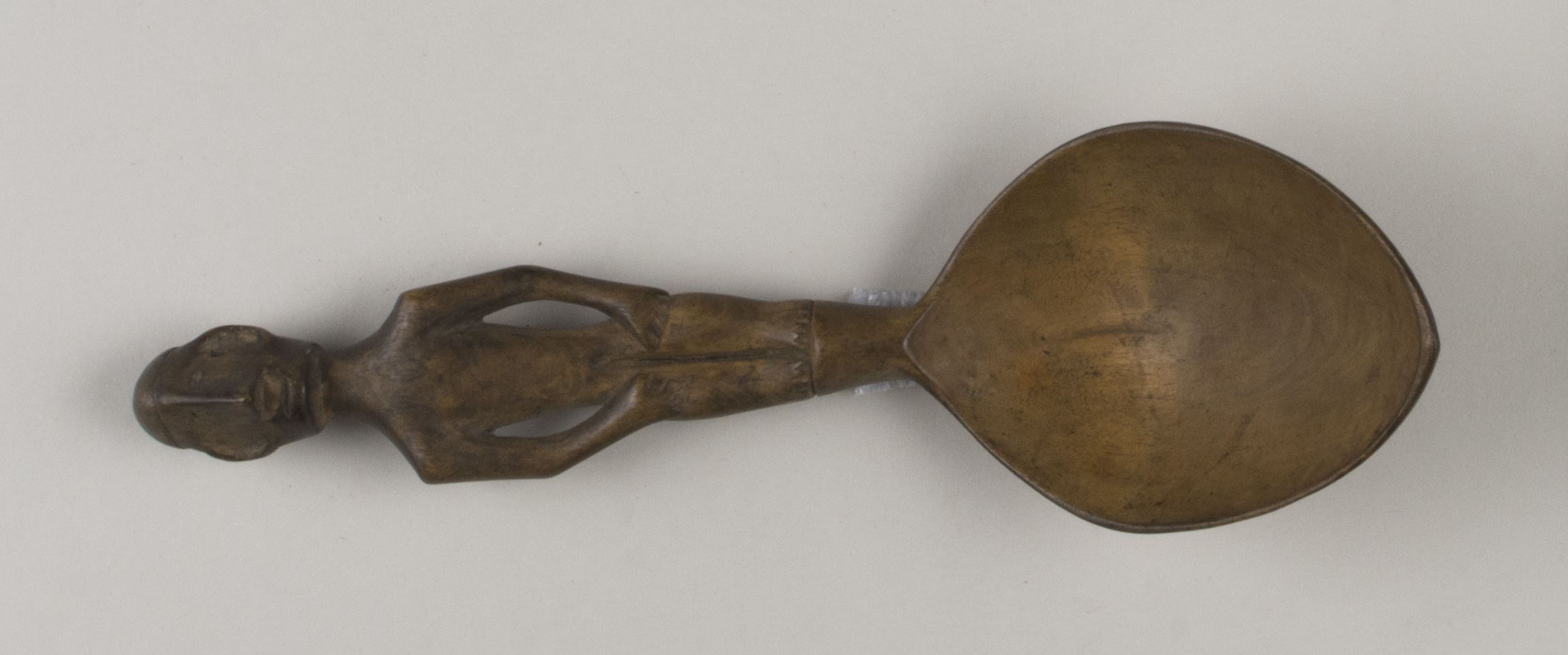 Top view without scale (c) Field Museum of Natural History - CC BY-NC 4.0