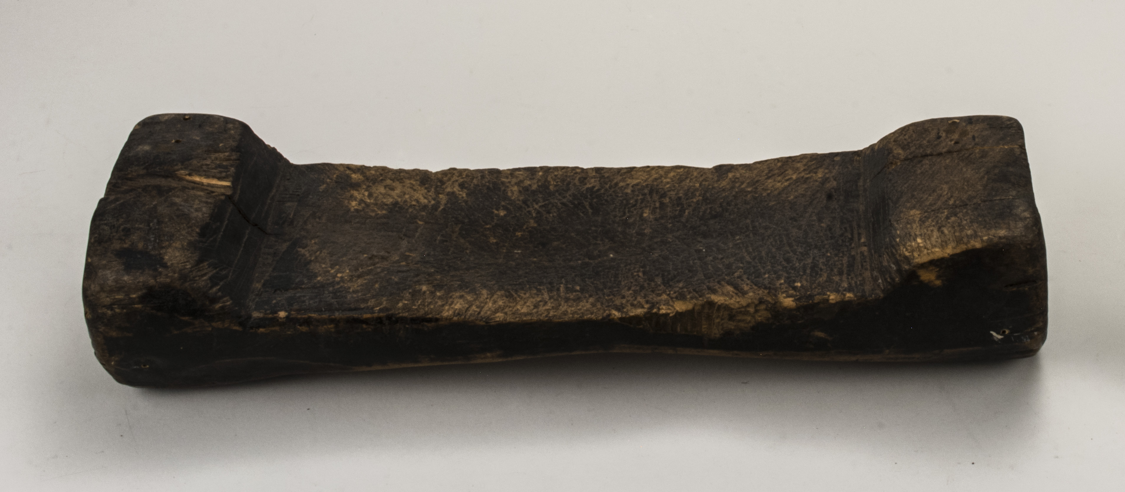 Front view (c) Field Museum of Natural History - CC BY-NC 4.0