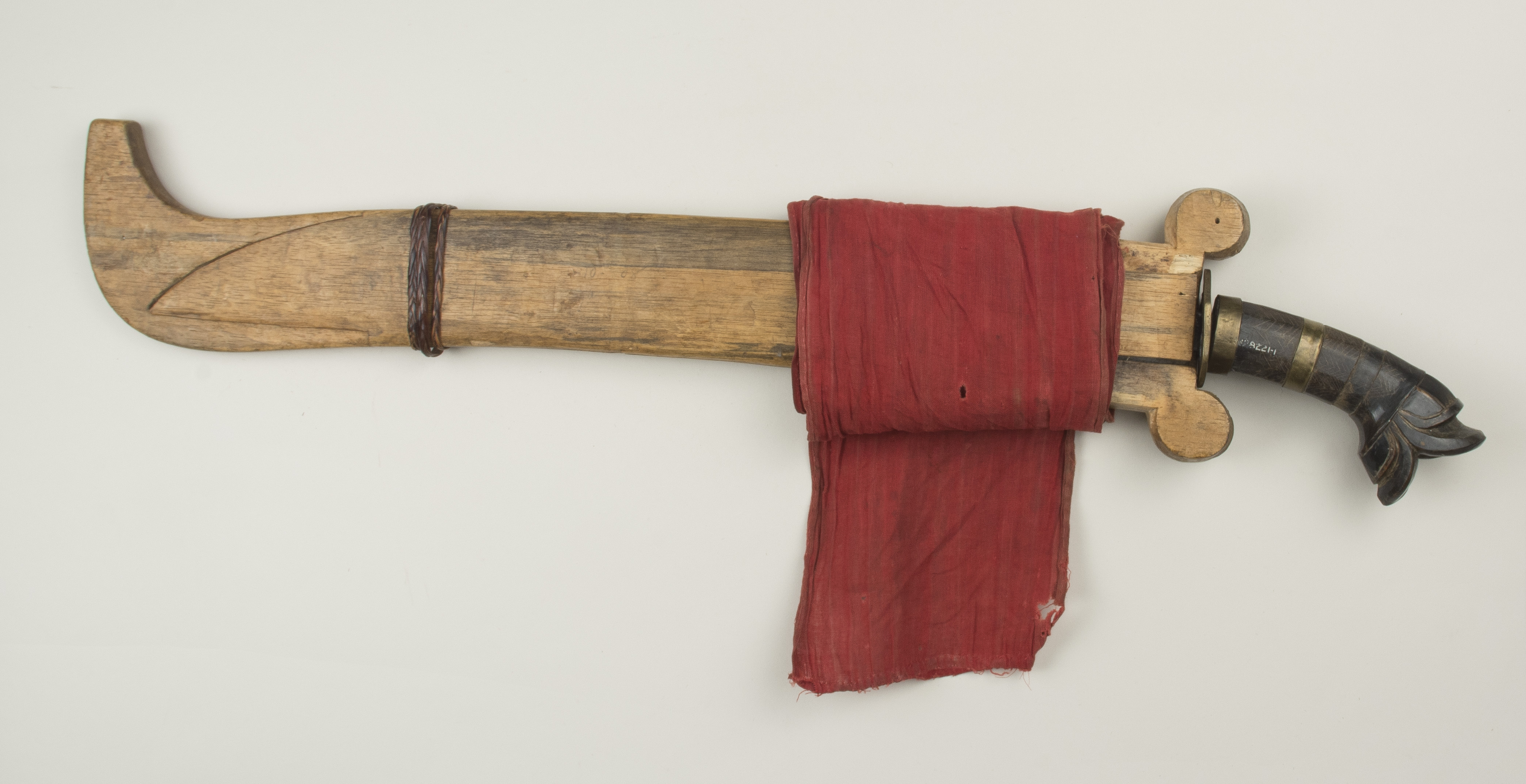 Top view (c) Field Museum of Natural History - CC BY-NC 4.0