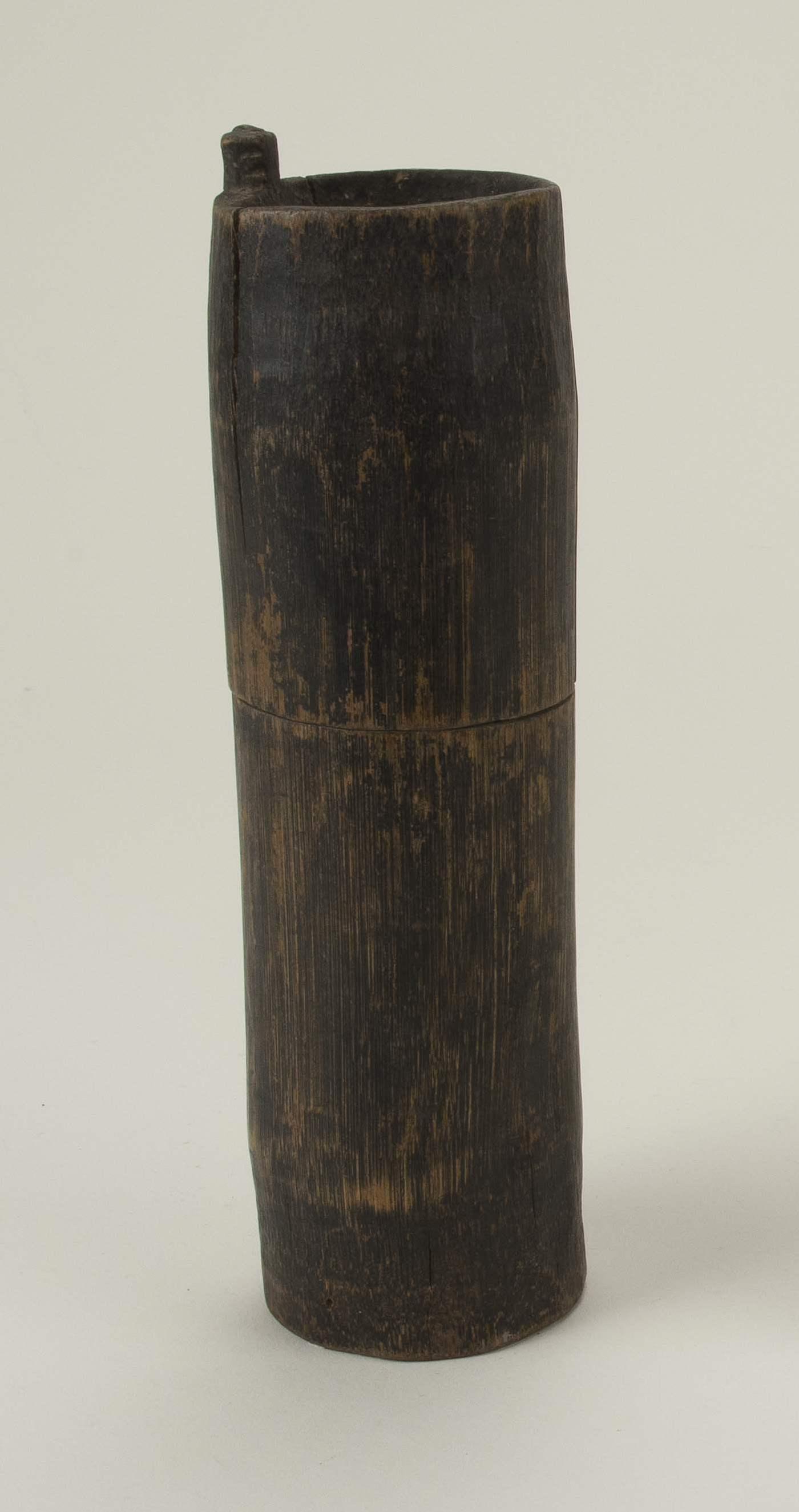 Front view (c) Field Museum of Natural History - CC BY-NC 4.0