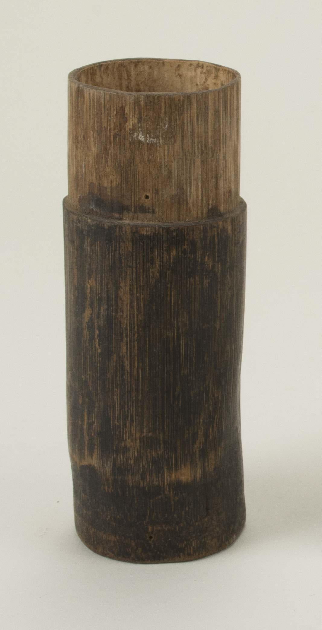 Front view (c) Field Museum of Natural History - CC BY-NC 4.0